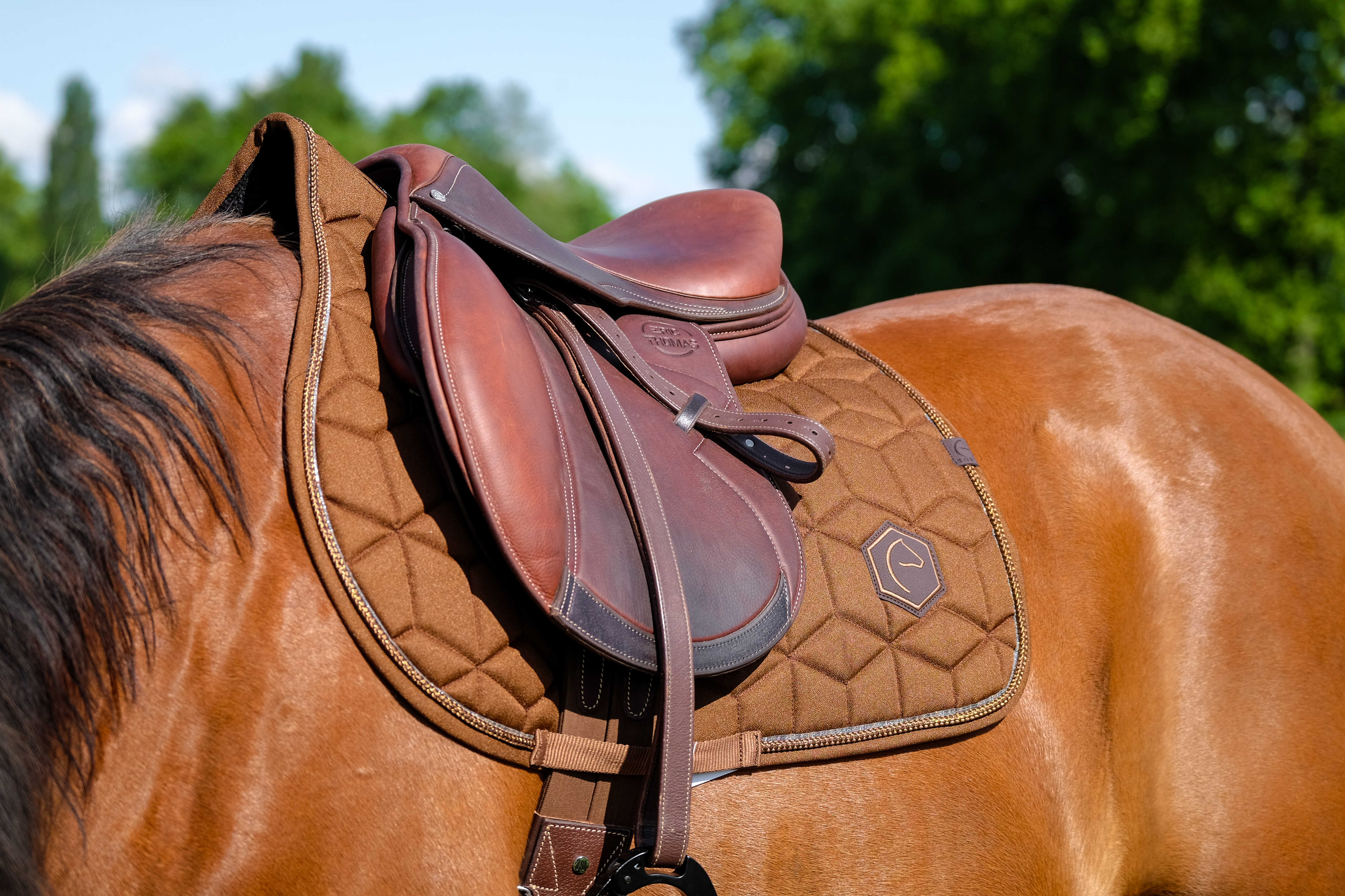 EQUITHÃˆME - Hexalight - Saddle Pad
