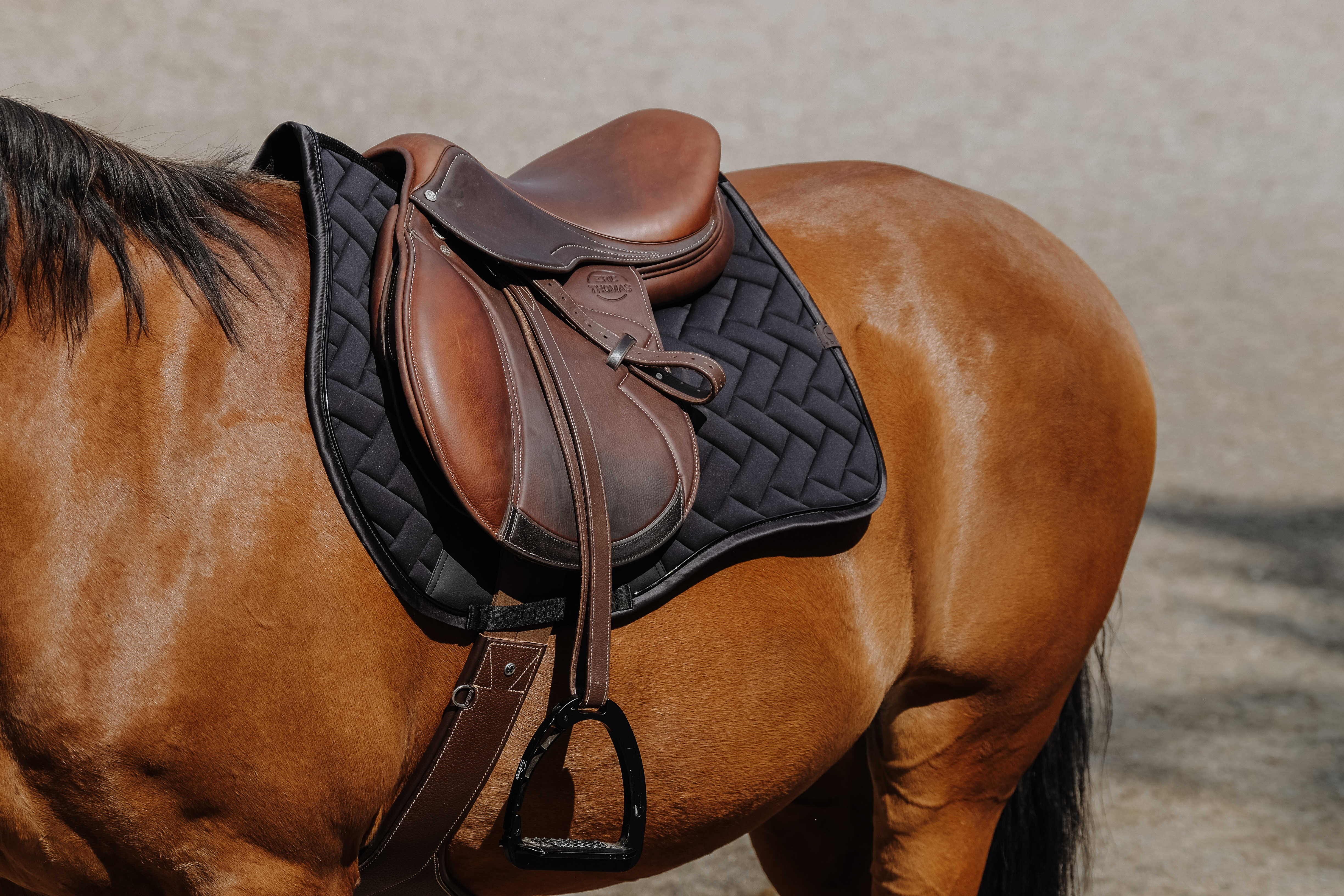 EQUITHÃˆME - Impulsion - Saddle Pad