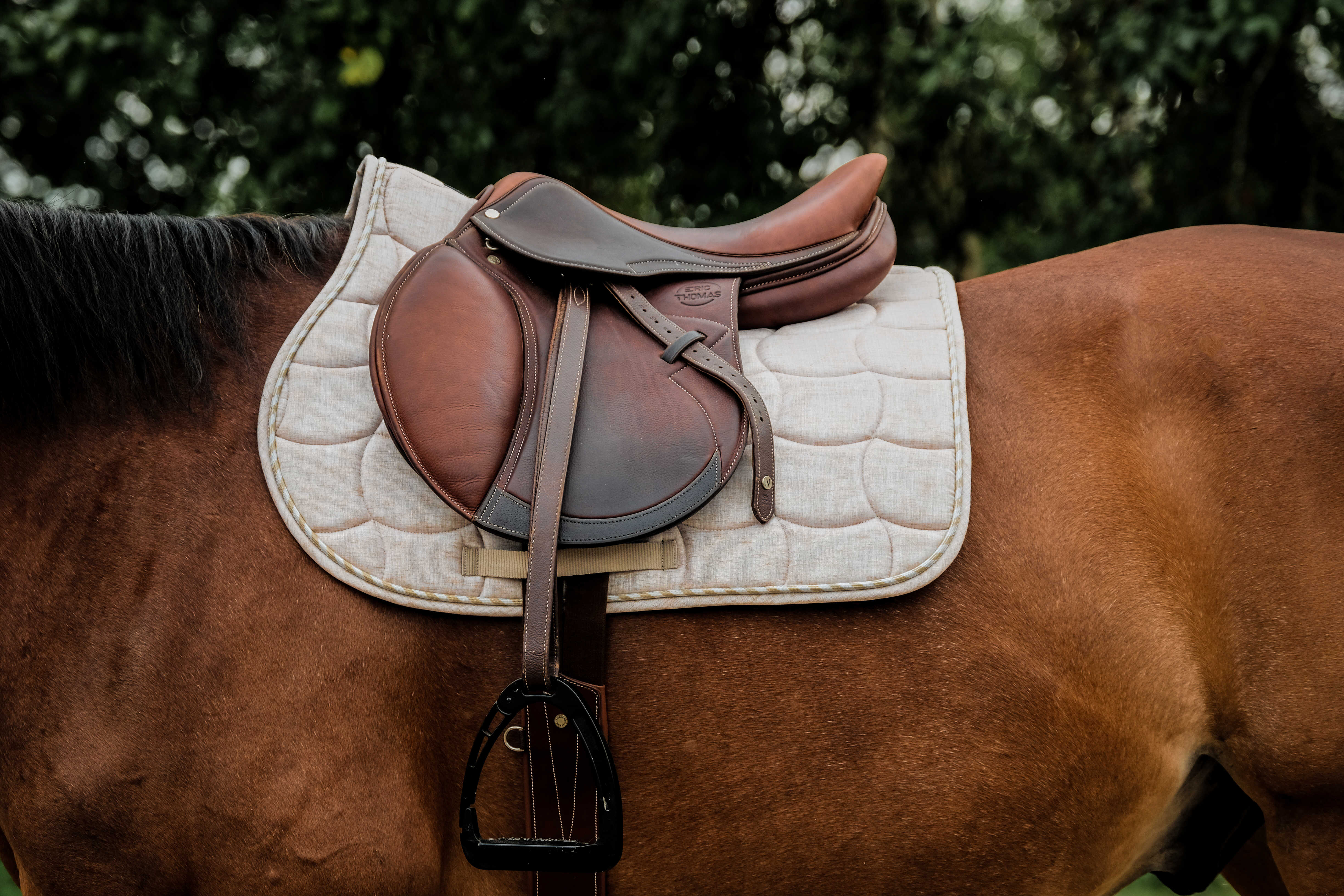 RIDING WORLD - Sunshine - Saddle pad
