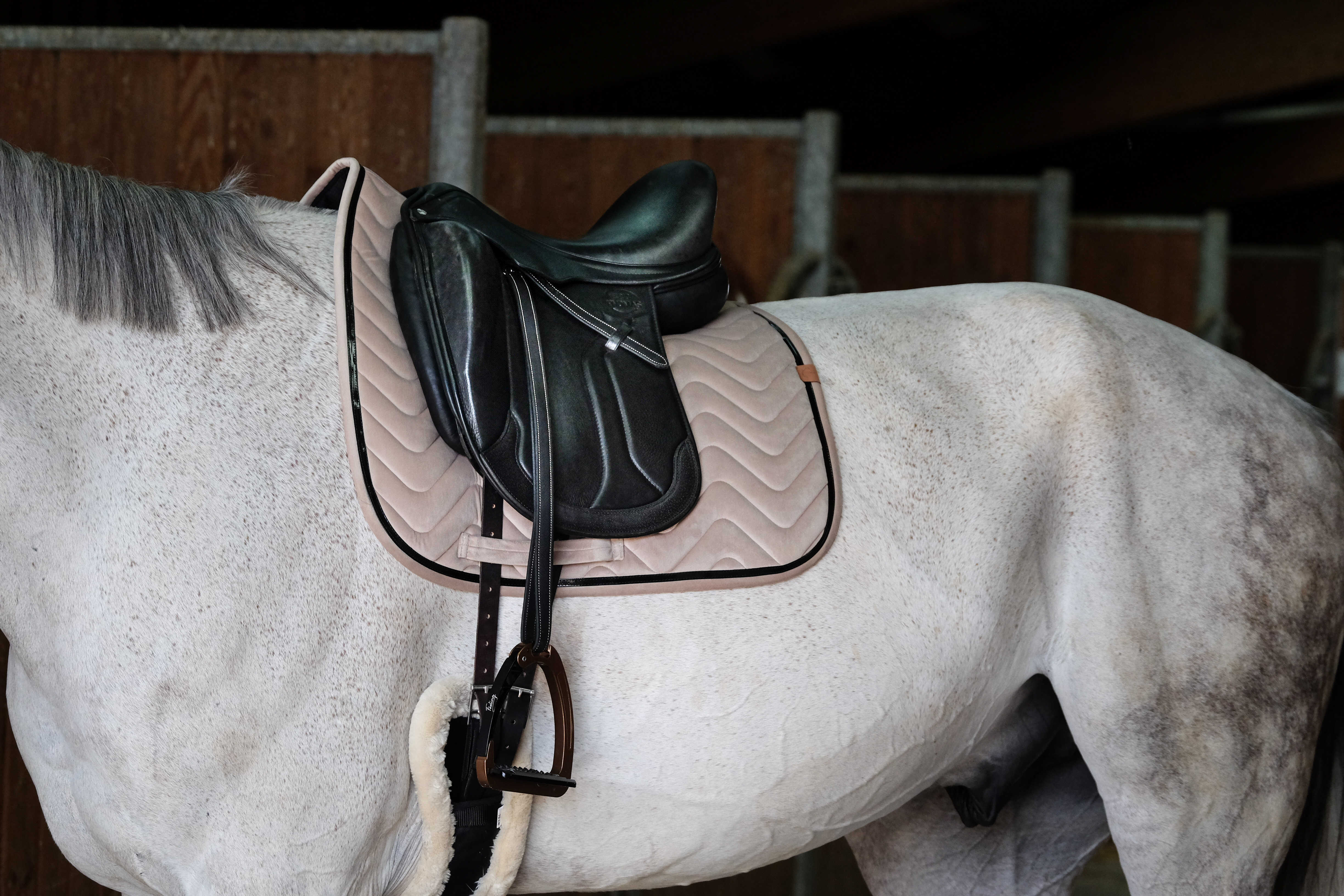 Tapis de selle EQUITHÃˆME -Glossy-
