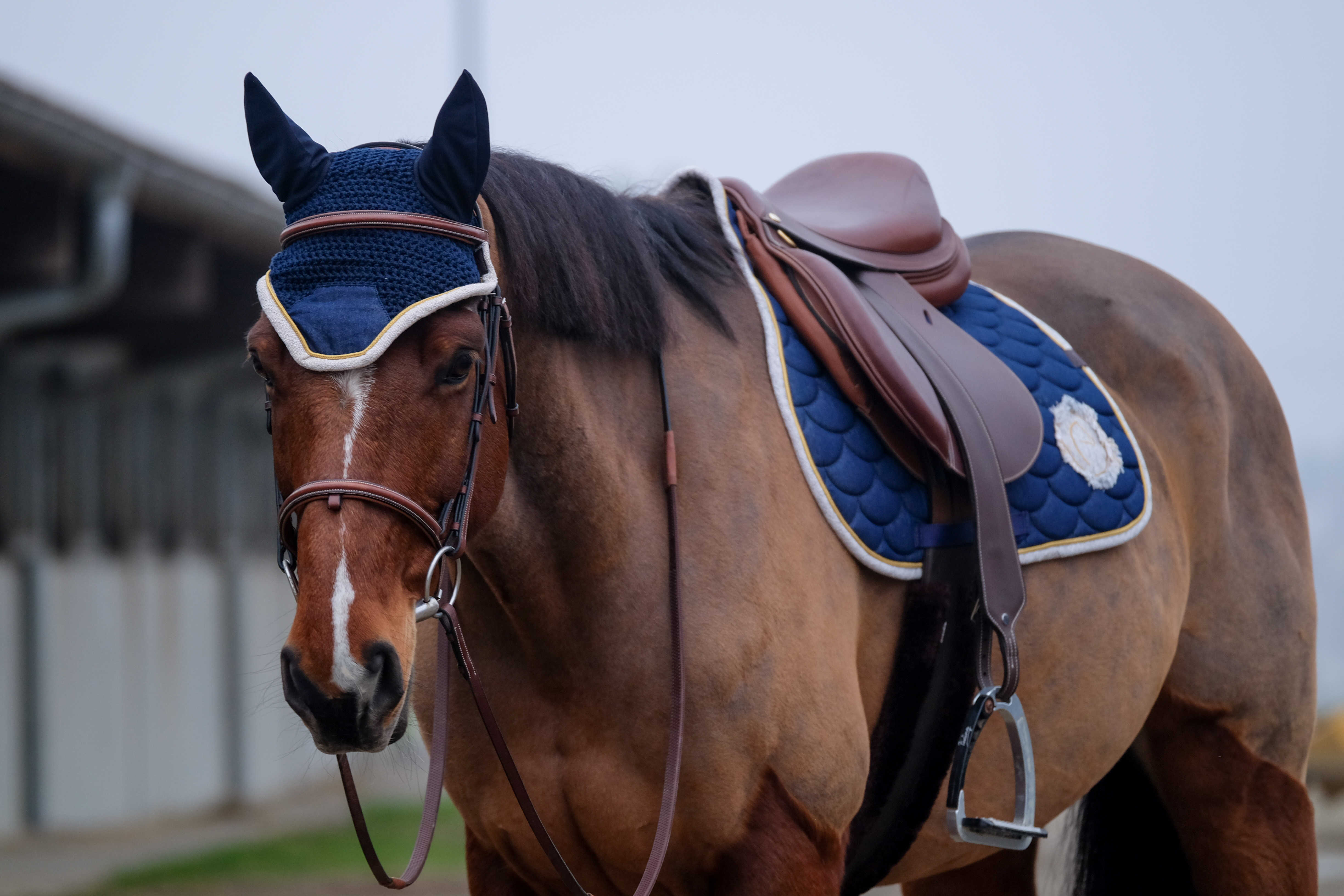 Tapis de selle EQUITHÃˆME -Denim-