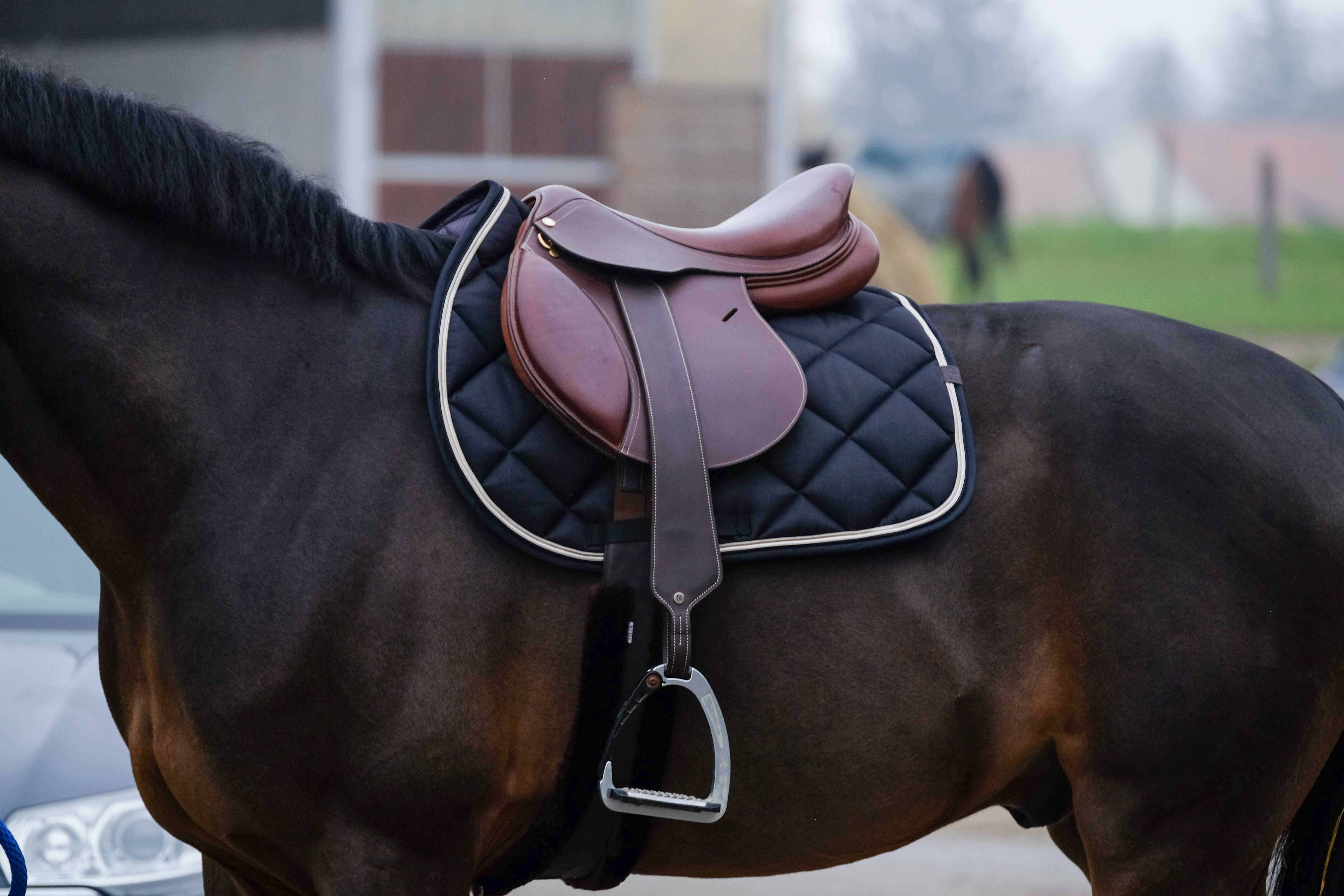 EQUITHÃˆME - Classic - Saddle Pad