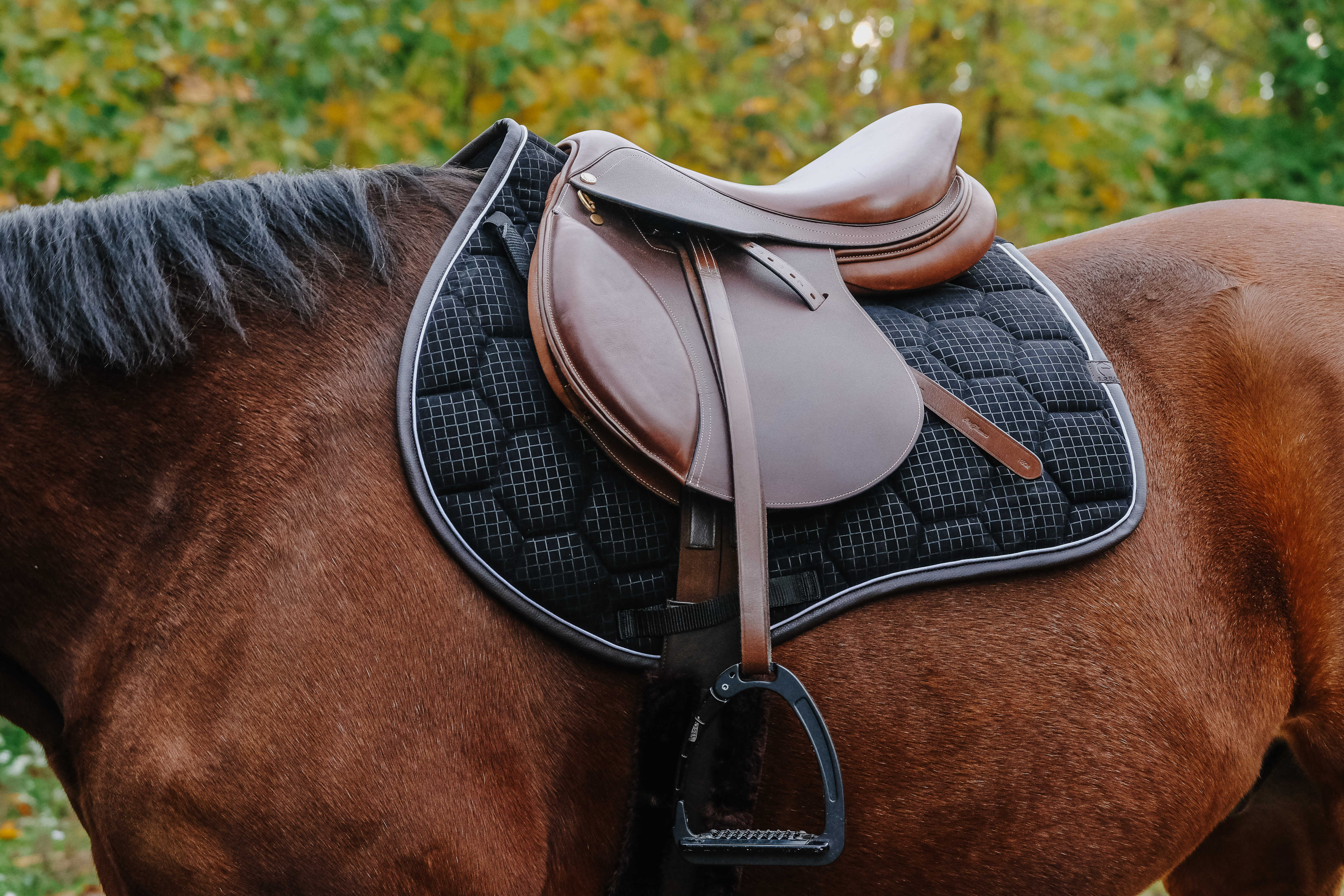 EQUITHÃˆME - Quadri - Saddle Pad