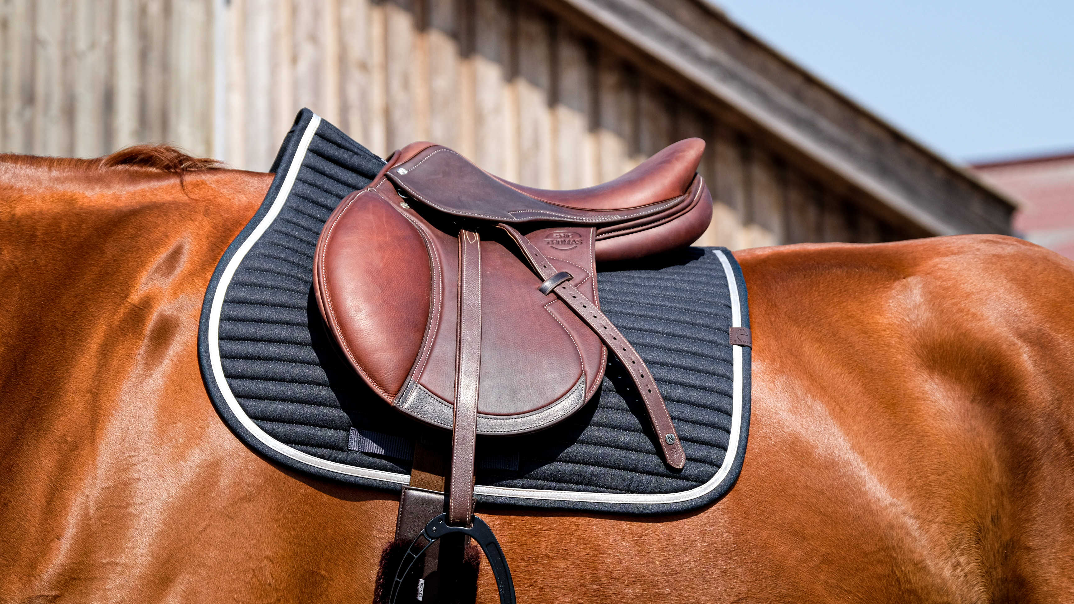 EQUITHEME - Spring - Saddle Pad