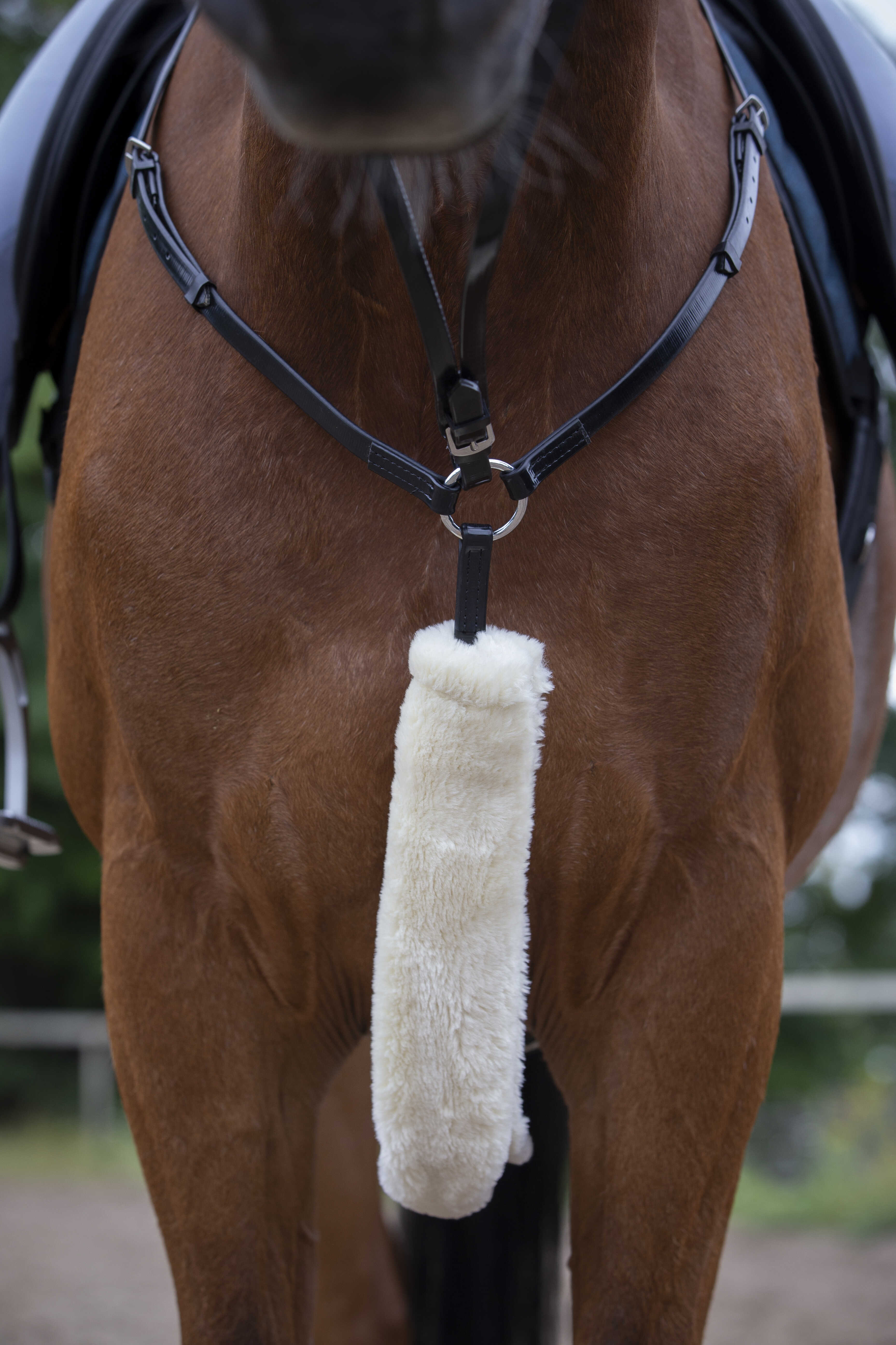 EQUITHÃˆME - Teddy - Hunting Breastplate Sleeve
