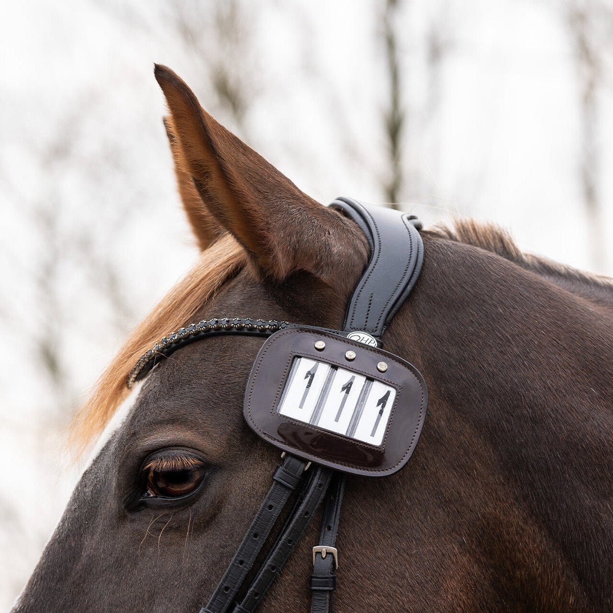 Number holders (2-pack)