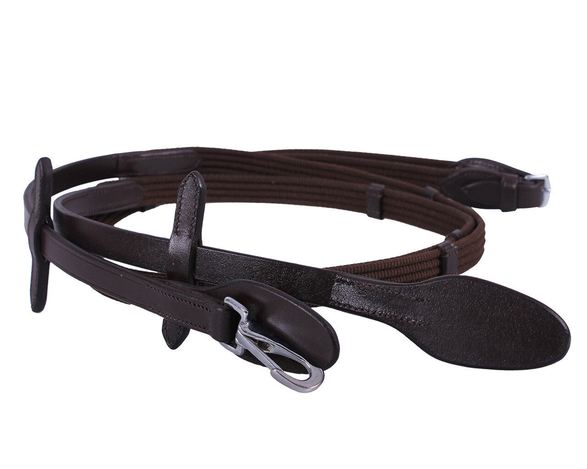 Web rein with clip
