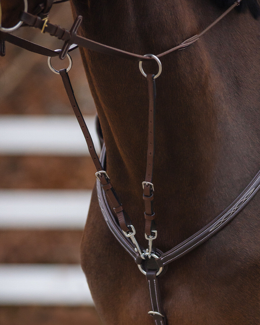 Martingale fork regular