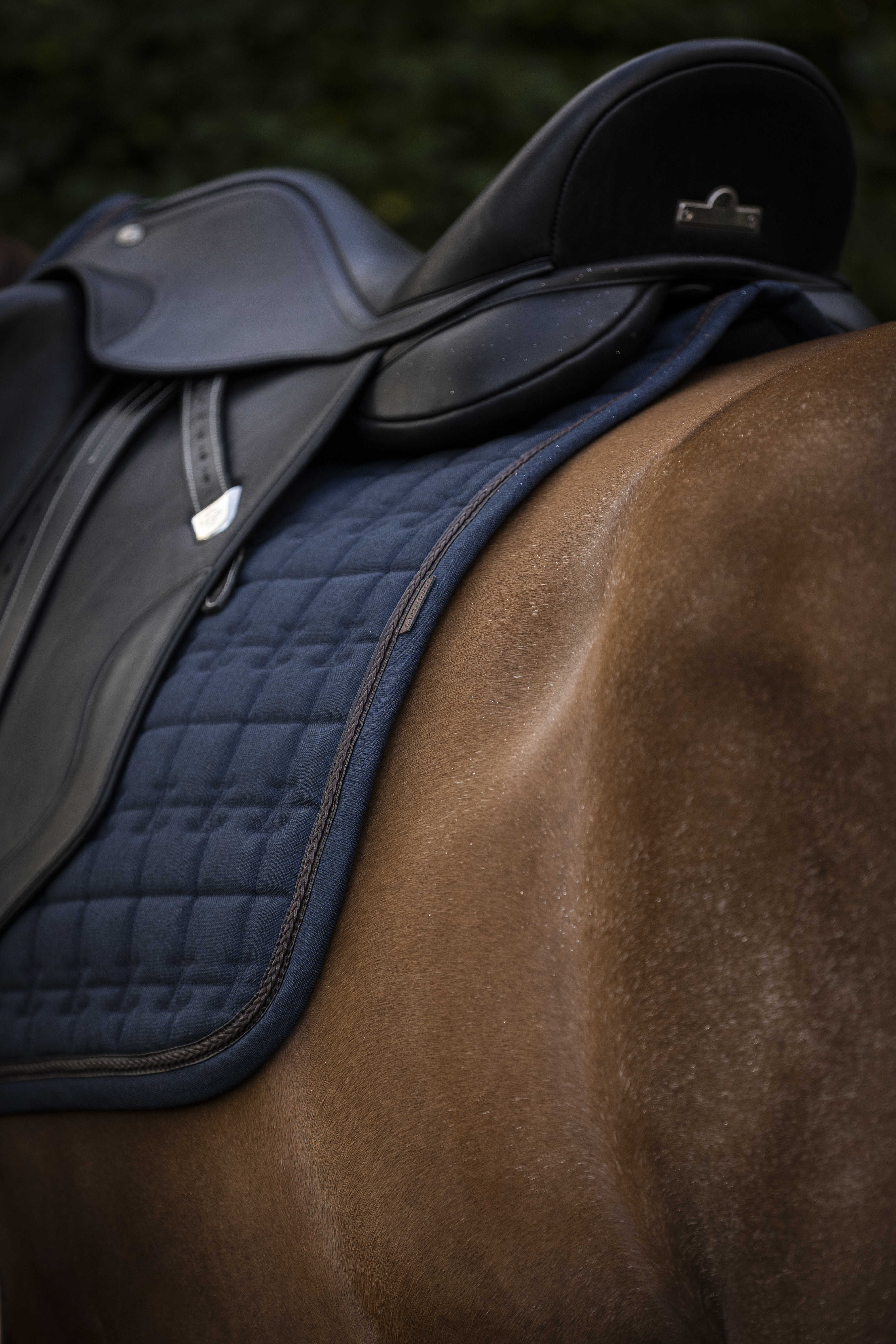 LAMI-CELL Vintage - Saddle Pad