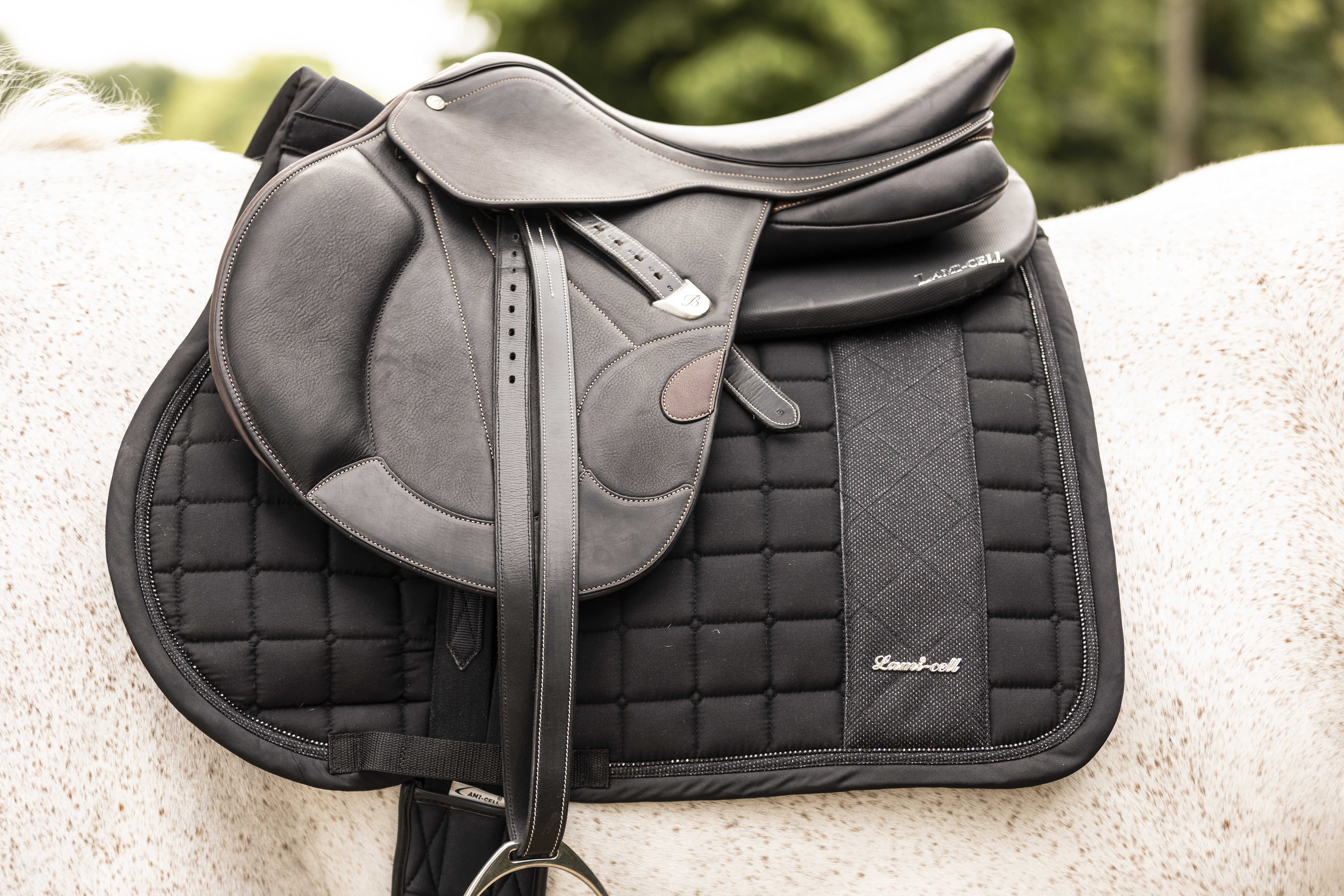 LAMI-CELL Galaxy Star - Saddle Pad