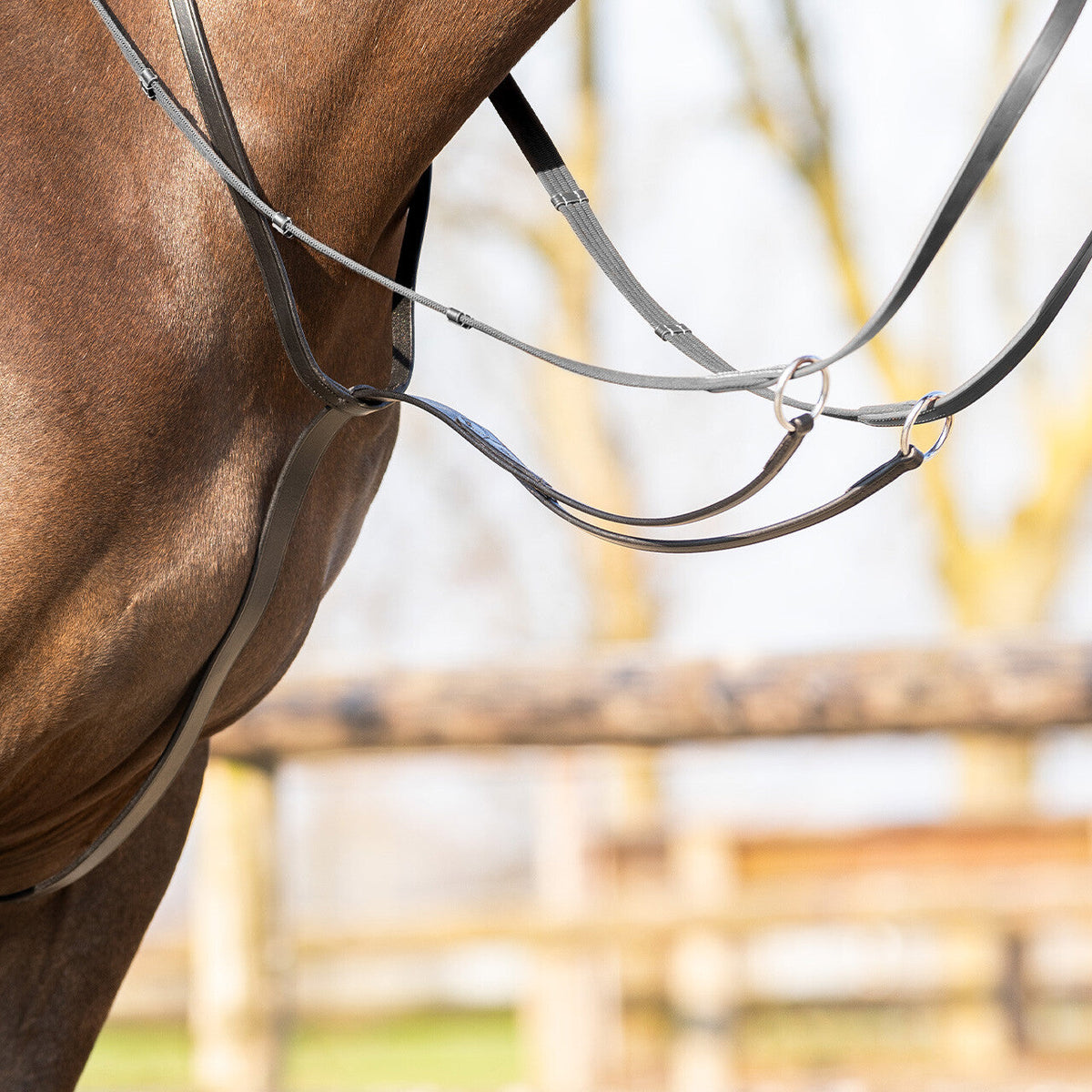 Martingale Basic pro
