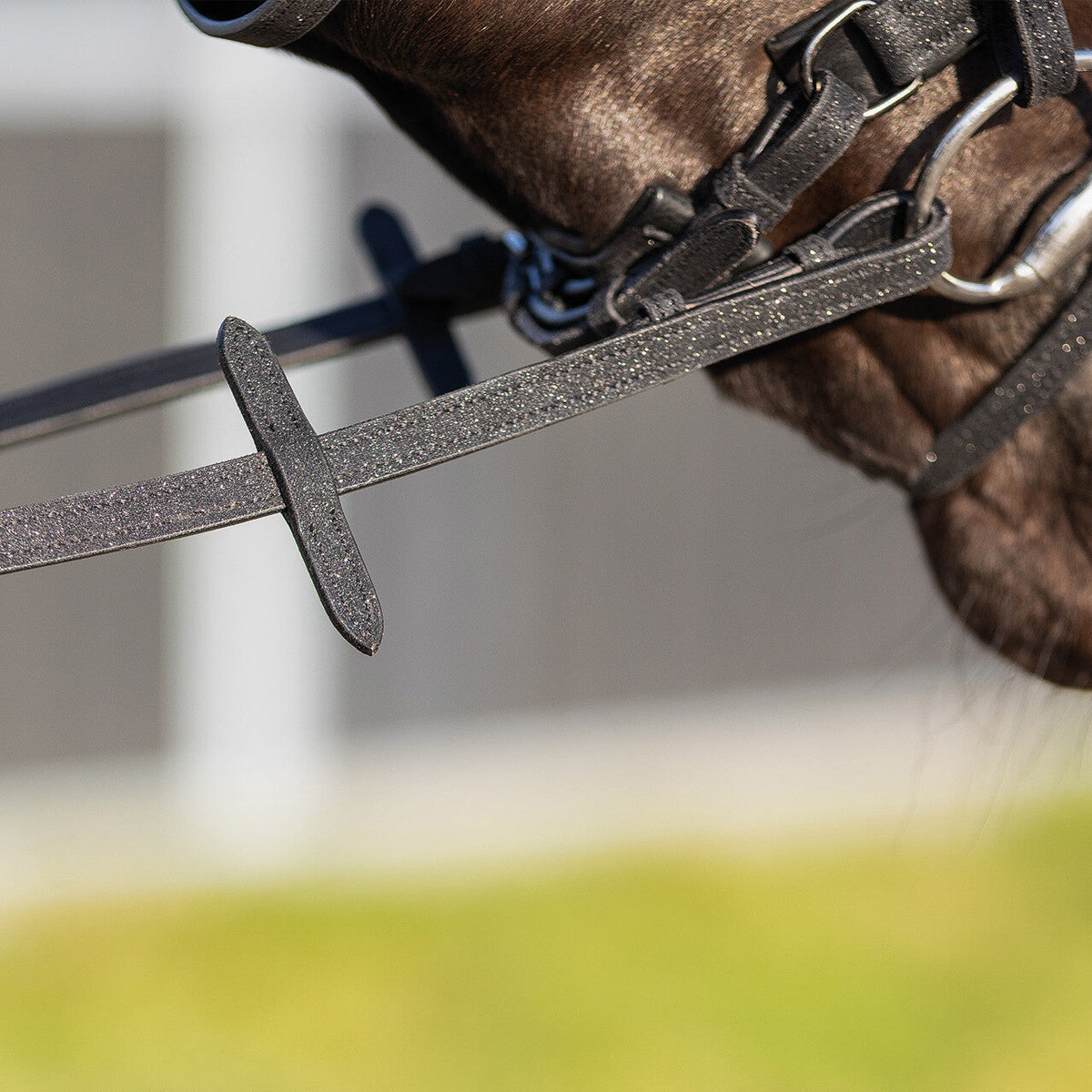 Web reins Glitter