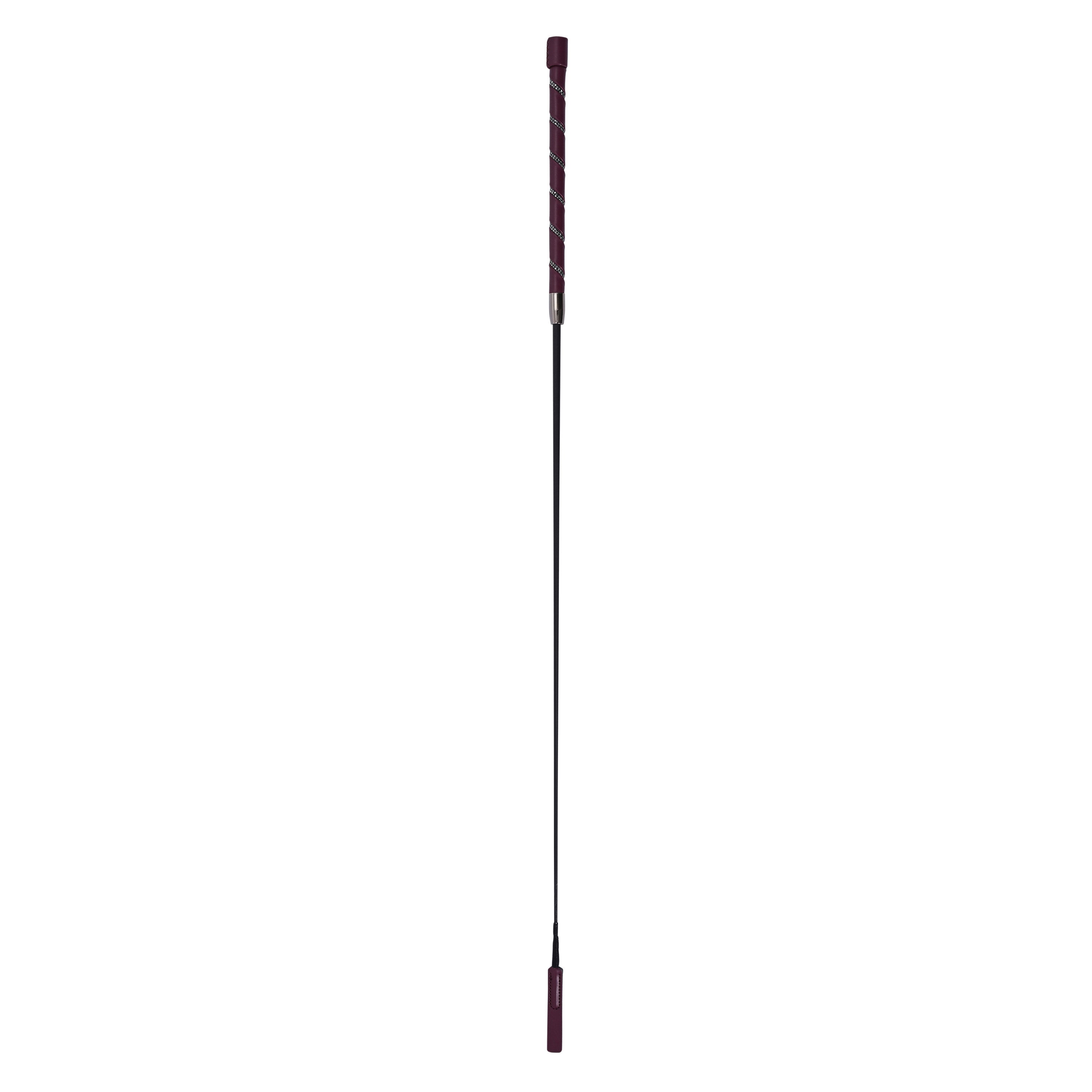 Dressage whip IRHRegal Shine