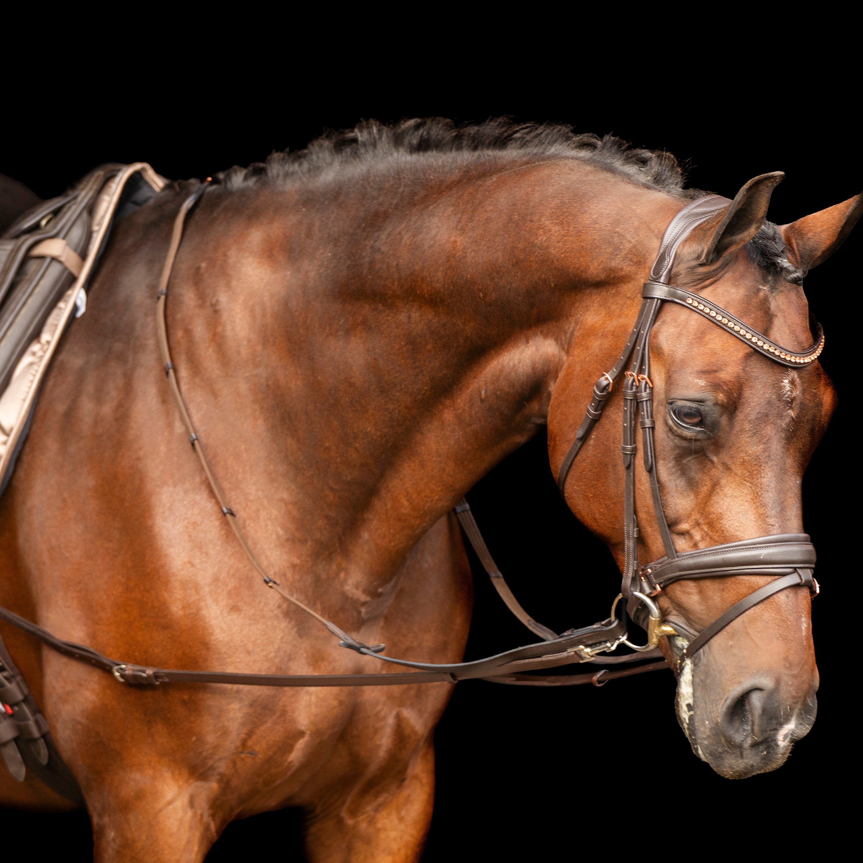 Side reins leather IRHCore