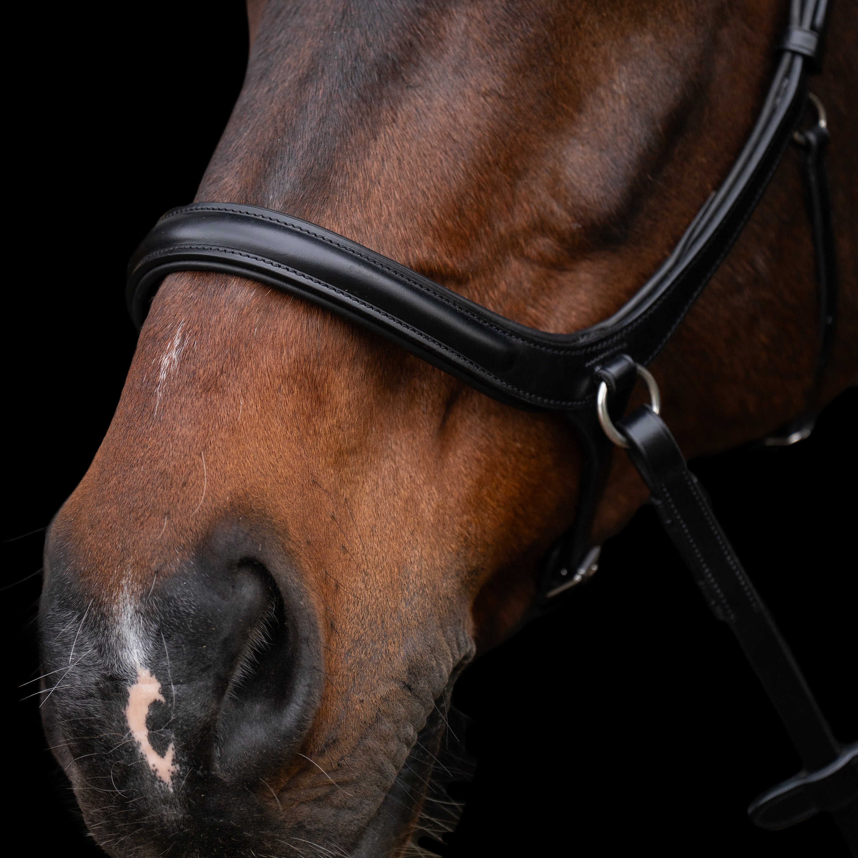 Bridle bitless HVPLegacy