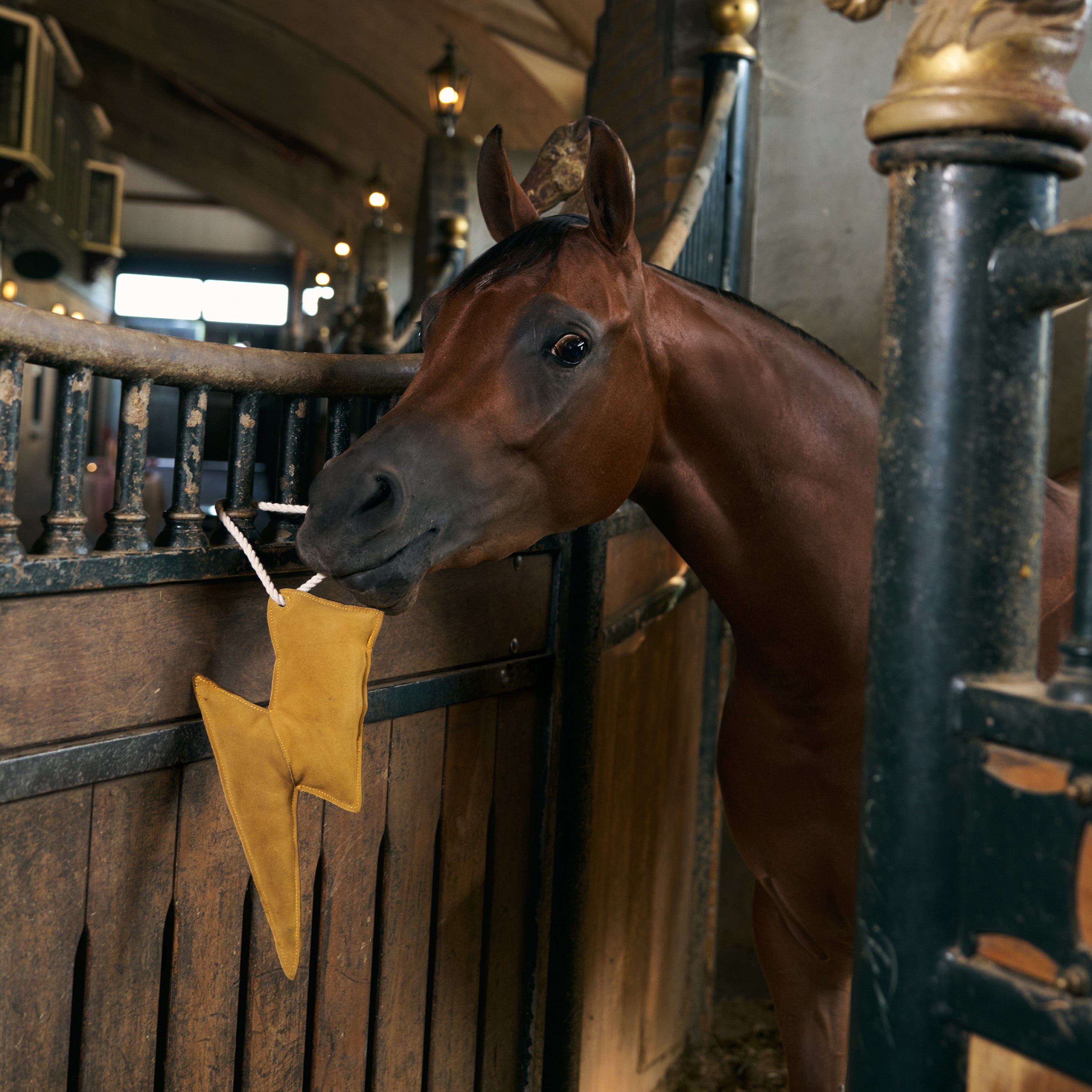 IRHStable buddy Lightning bolt