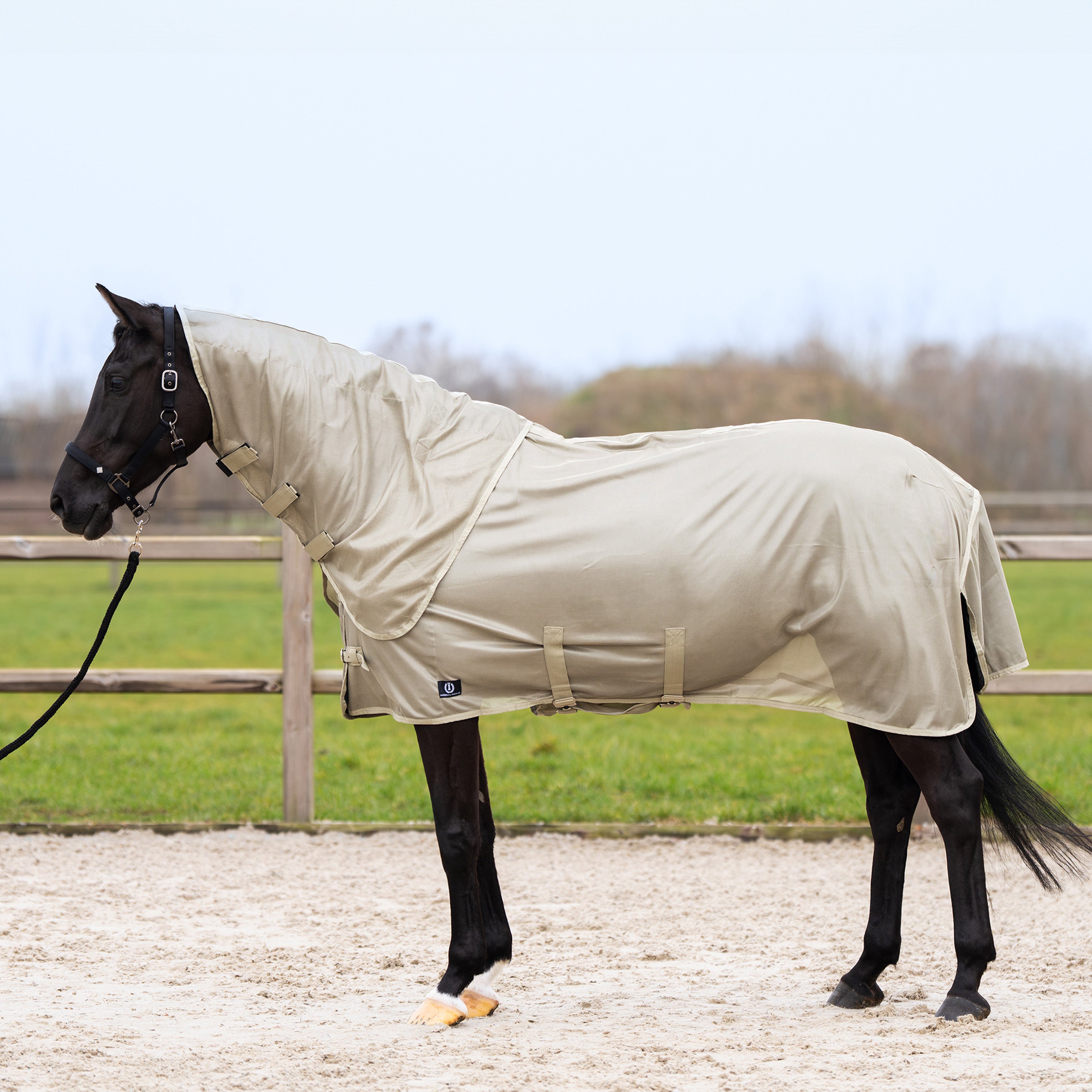 Fly blanket IRHReese