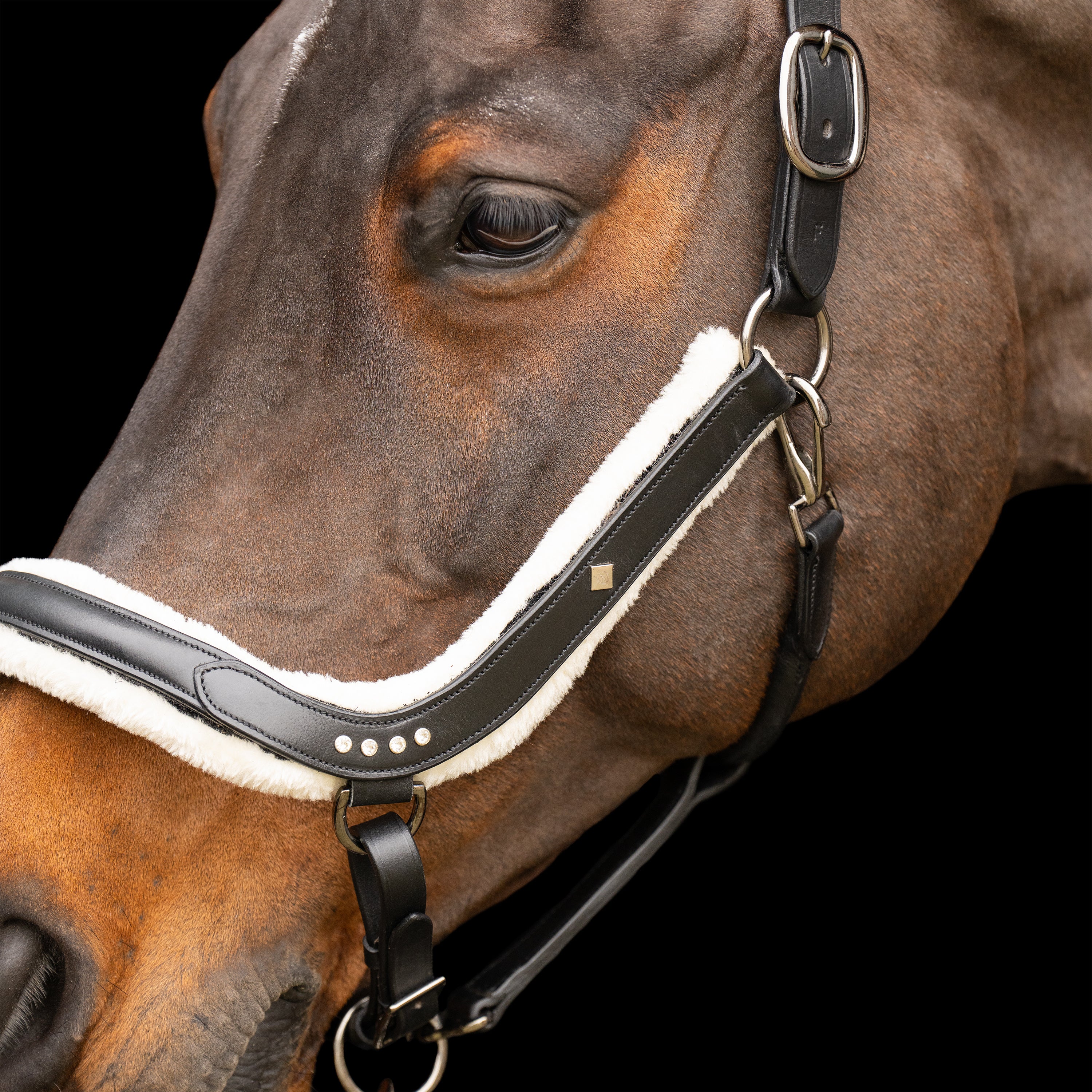 Headcollar IRHLuxury