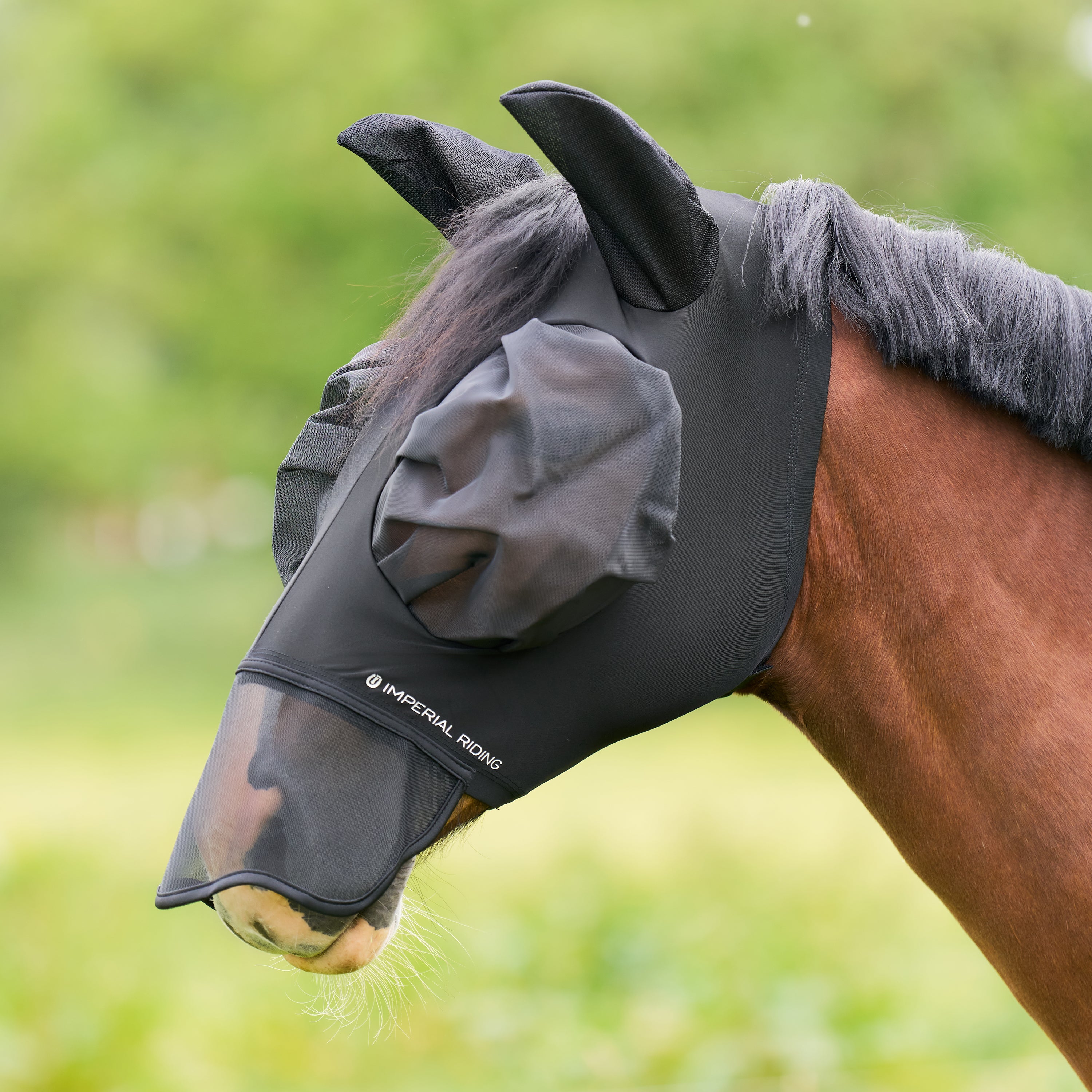 Flymask with nose IRHTrail ride
