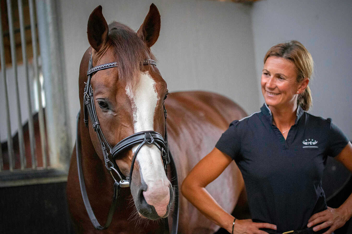 PENELOPE "Daily" Bridle