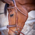 PENELOPE "US" Bridle