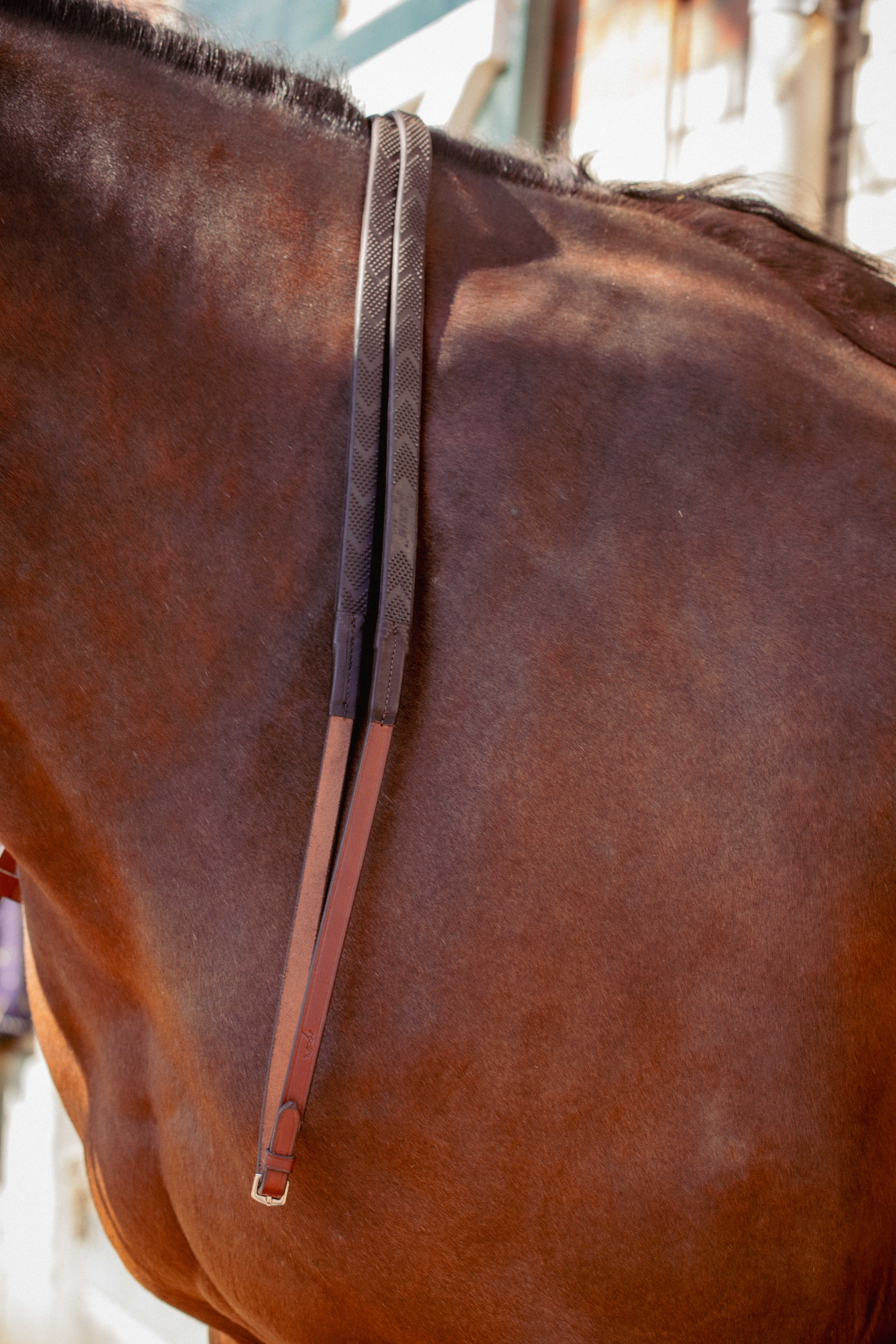 PENELOPE "US" Rubber reins
