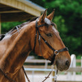 NORTON Bridle Bitless