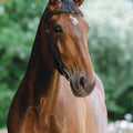 NORTON - Freedom - Bridle