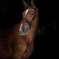 ERIC THOMAS ELITE Weymouth bridle