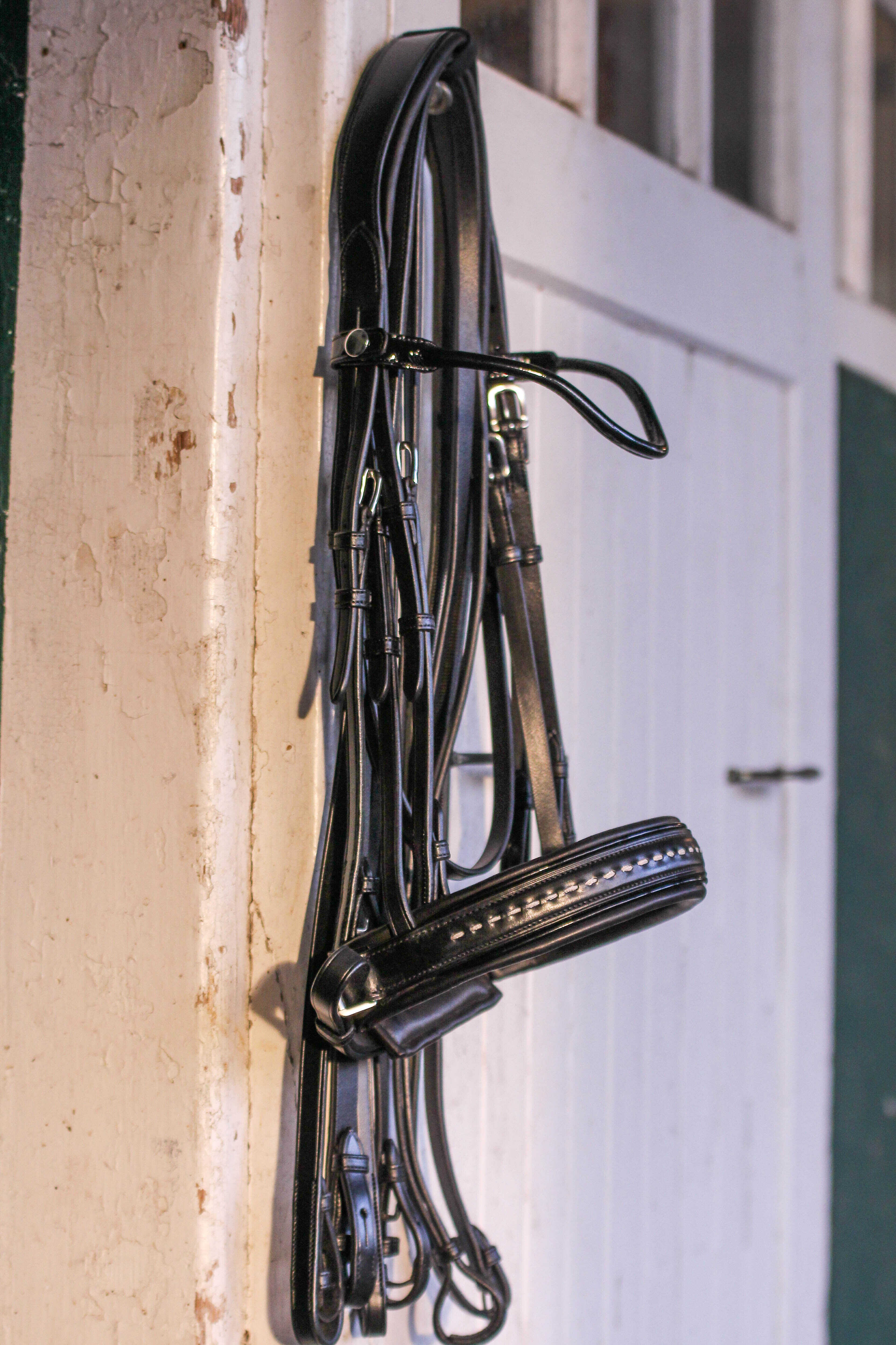PENELOPE "Point Sellier" Double bridle