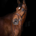 ERIC THOMAS ELITE Hunter Reins 16 mm