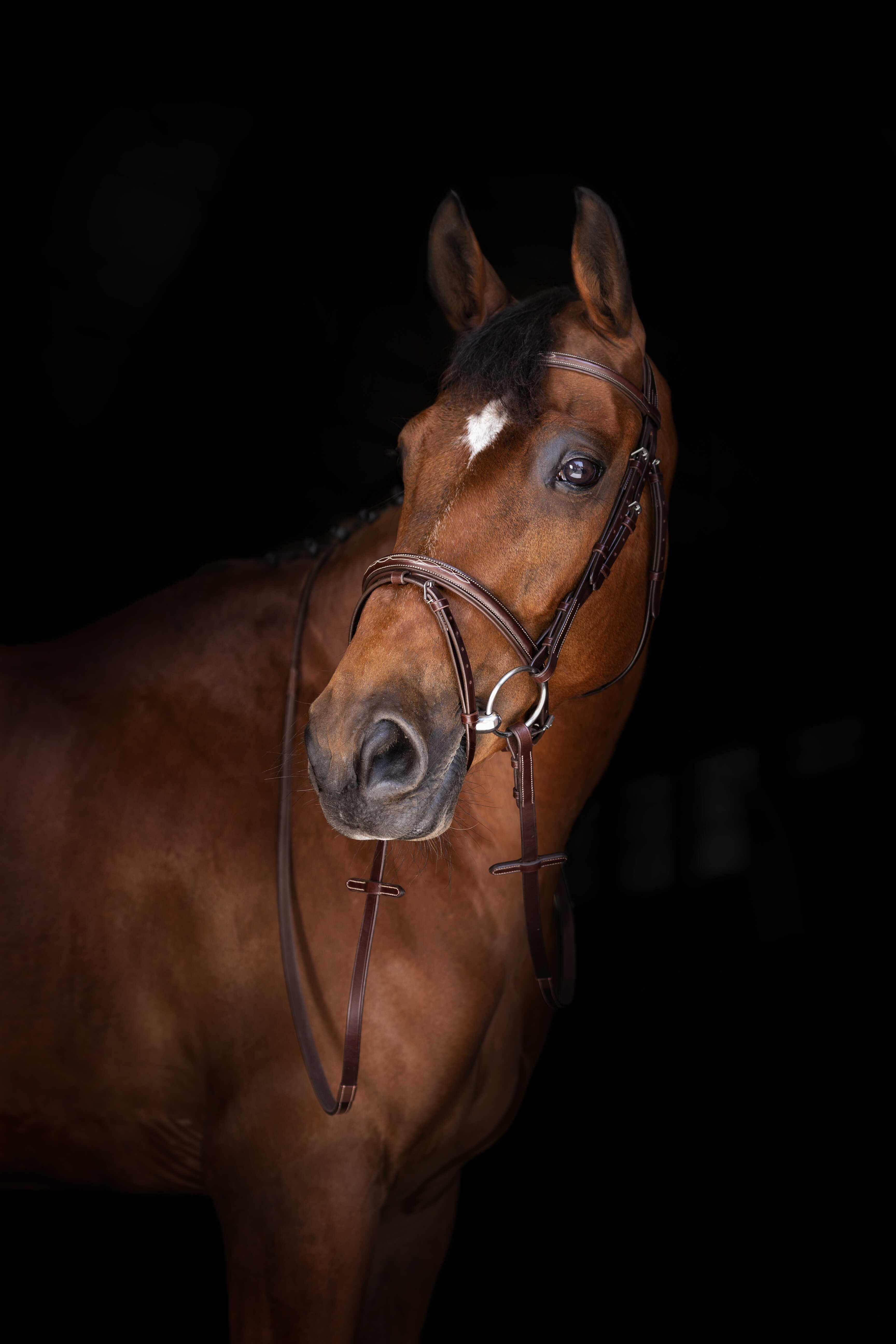 ERIC THOMAS ELITE Hunter Reins 16 mm