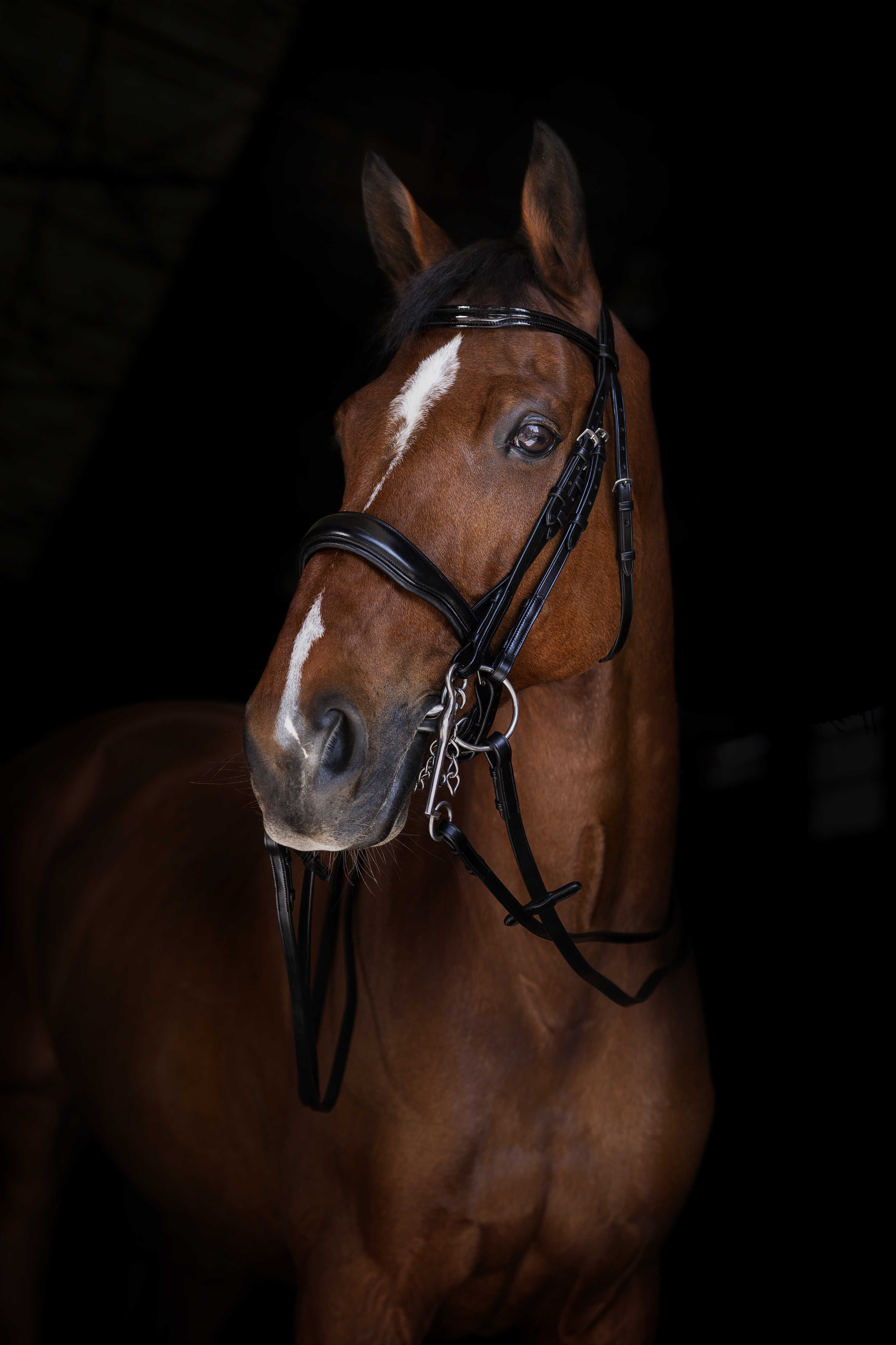 ERIC THOMAS ELITE Plain Reins 16 mm