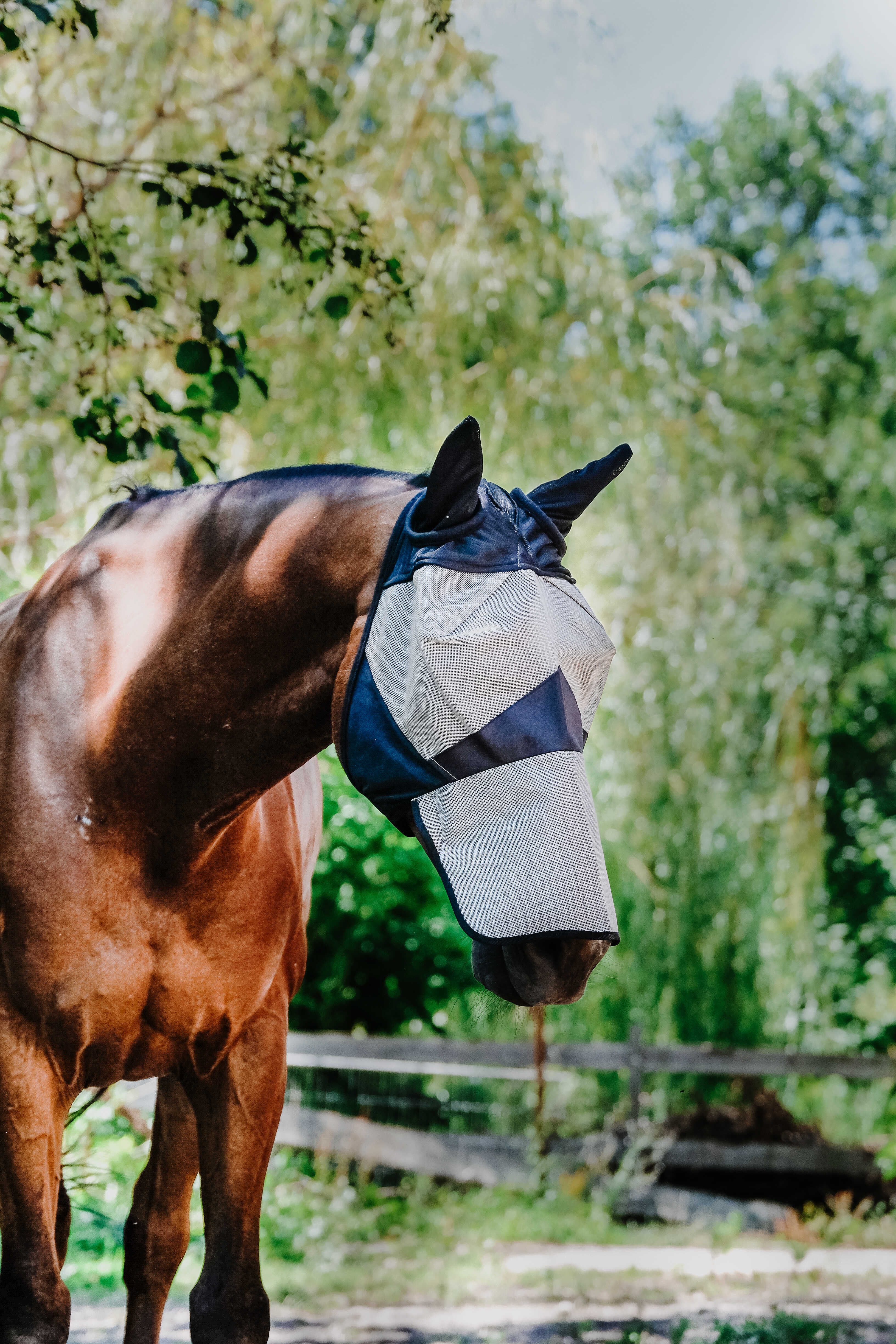 Masque anti-mouches EQUITHÃˆME filet Ã©pais