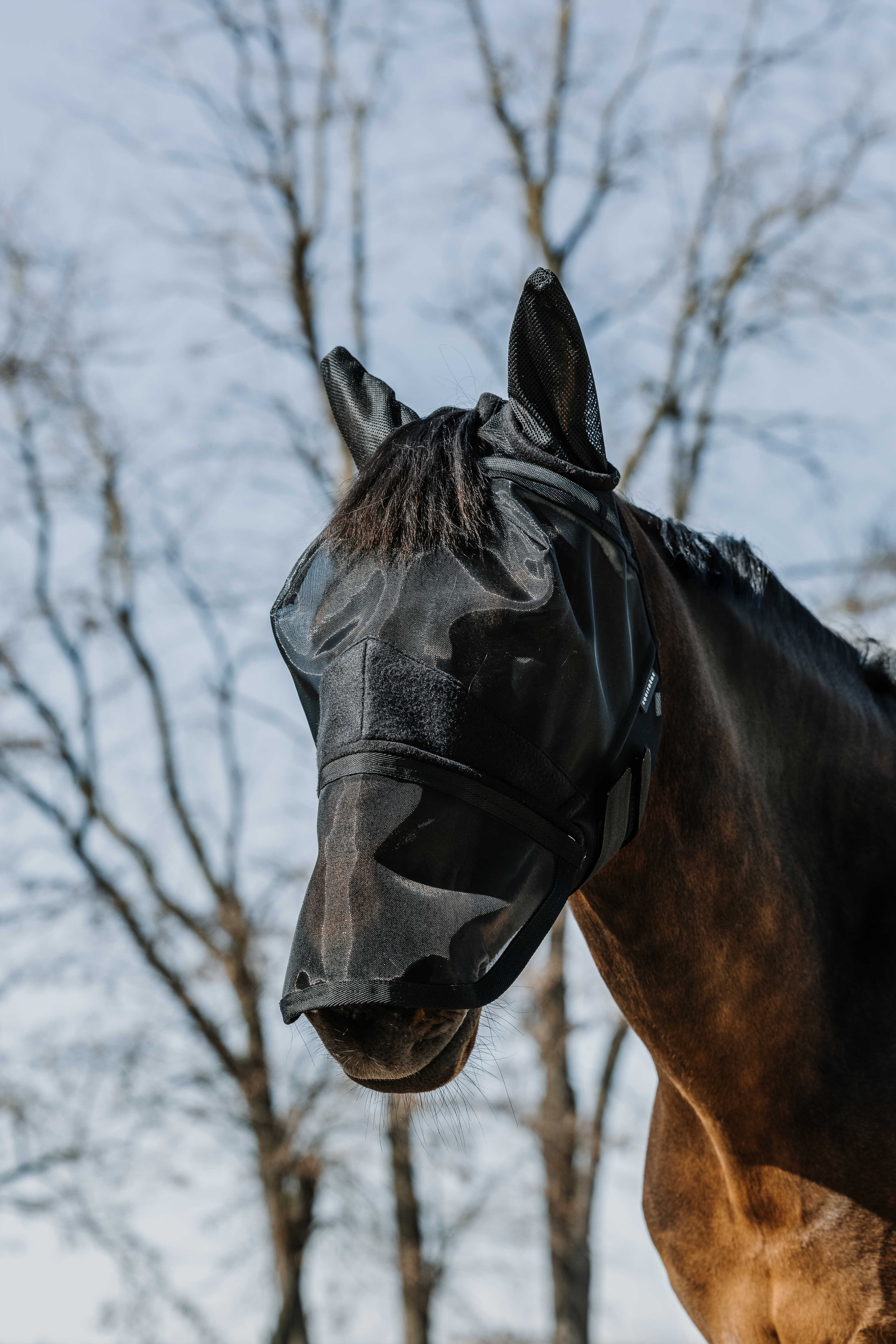 EQUITH ME - 2 in 1 - Fly mask/uv mask
