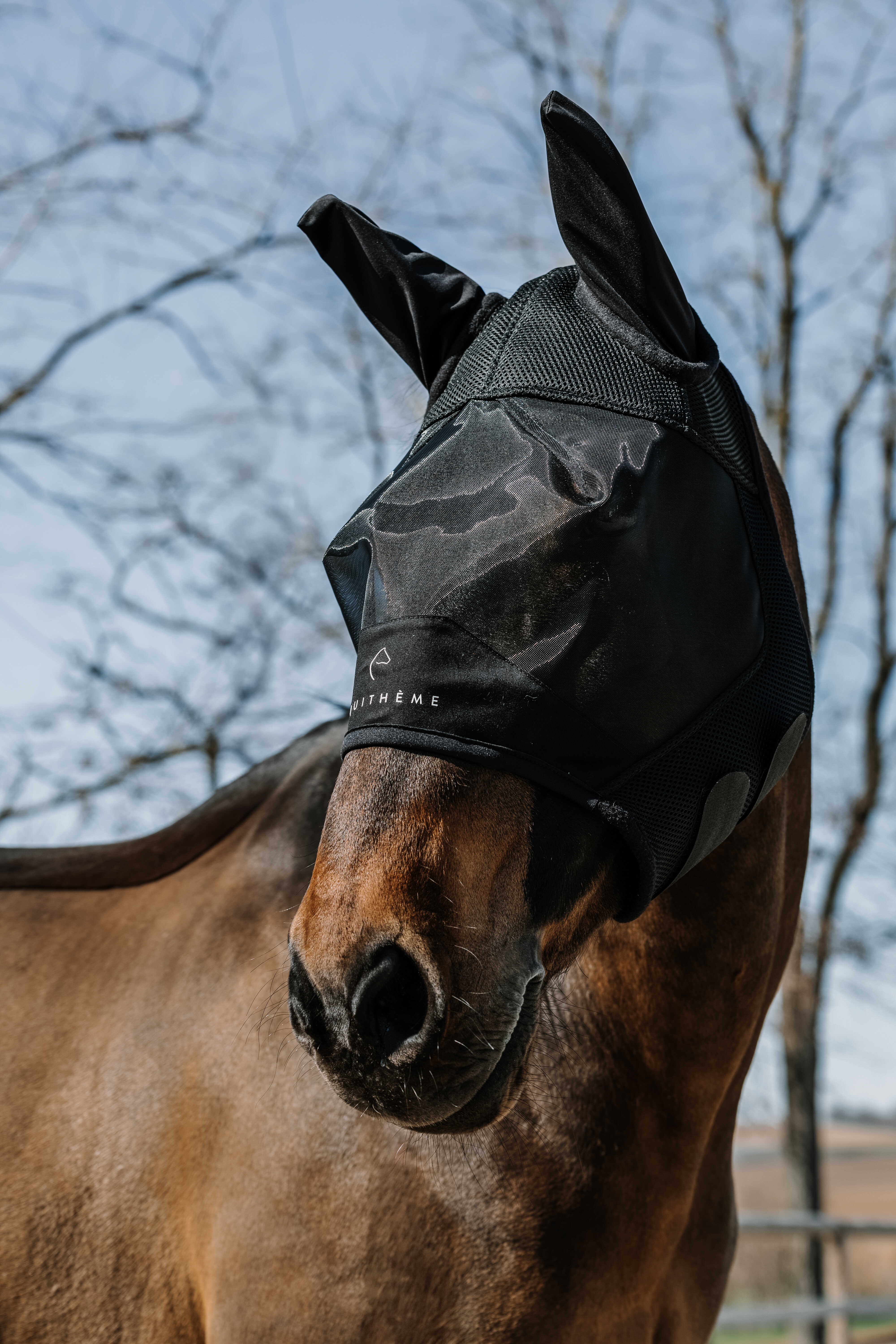 EQUITH ME - Mesh - Fly mask/uv mask