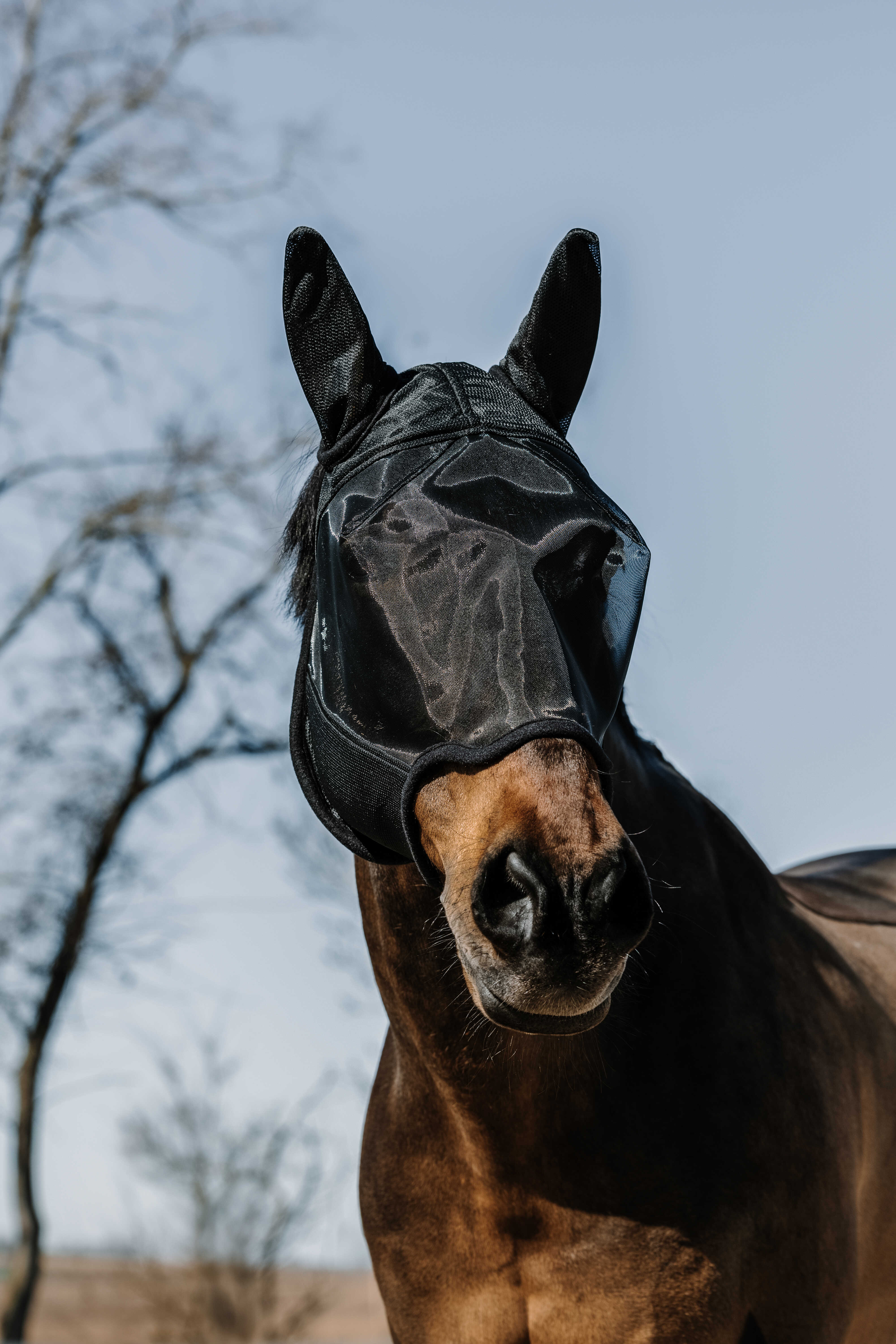 EQUITH ME - Anatomic - Fly mask/uv mask