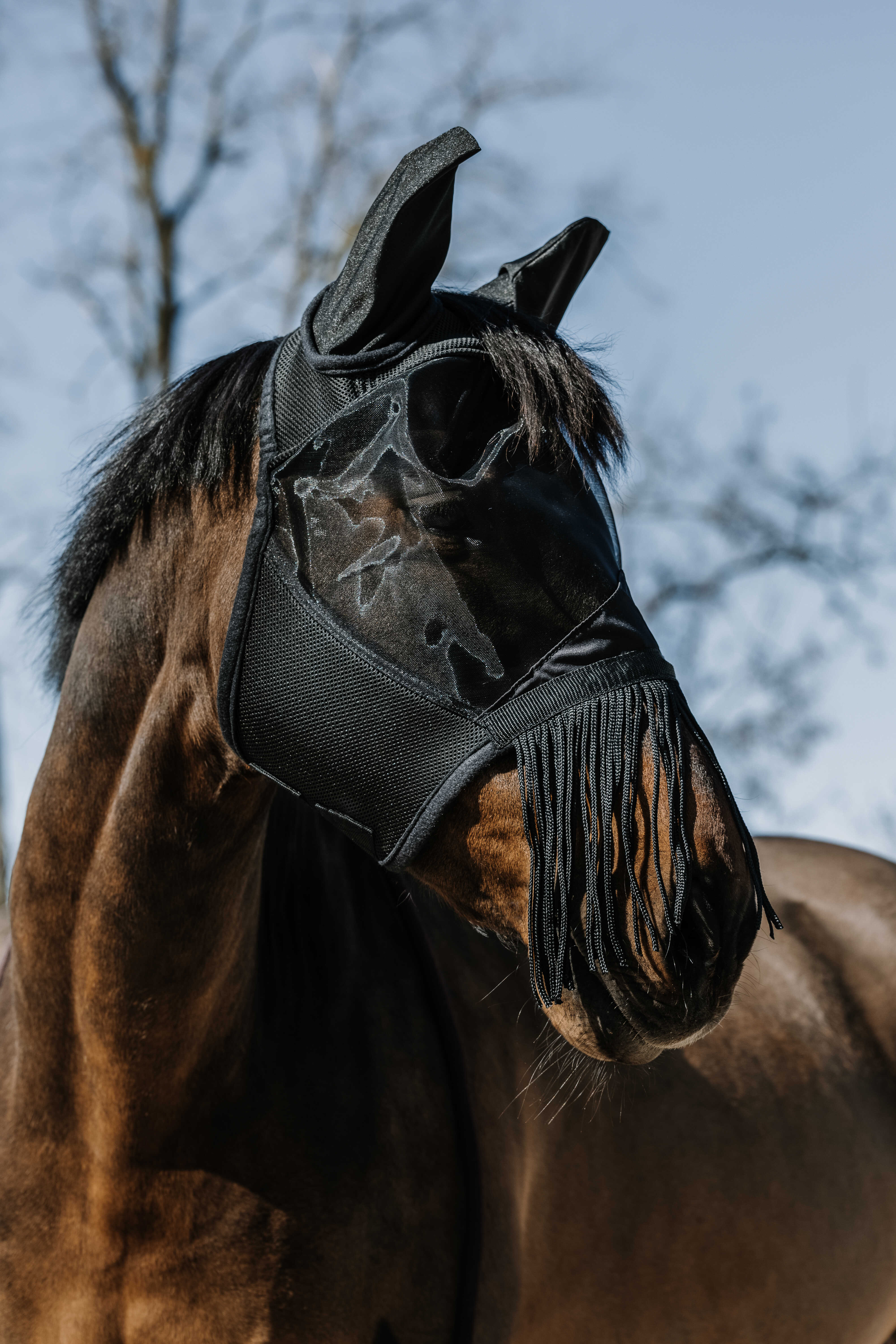 EQUITH ME - Franges - Fly mask/uv mask