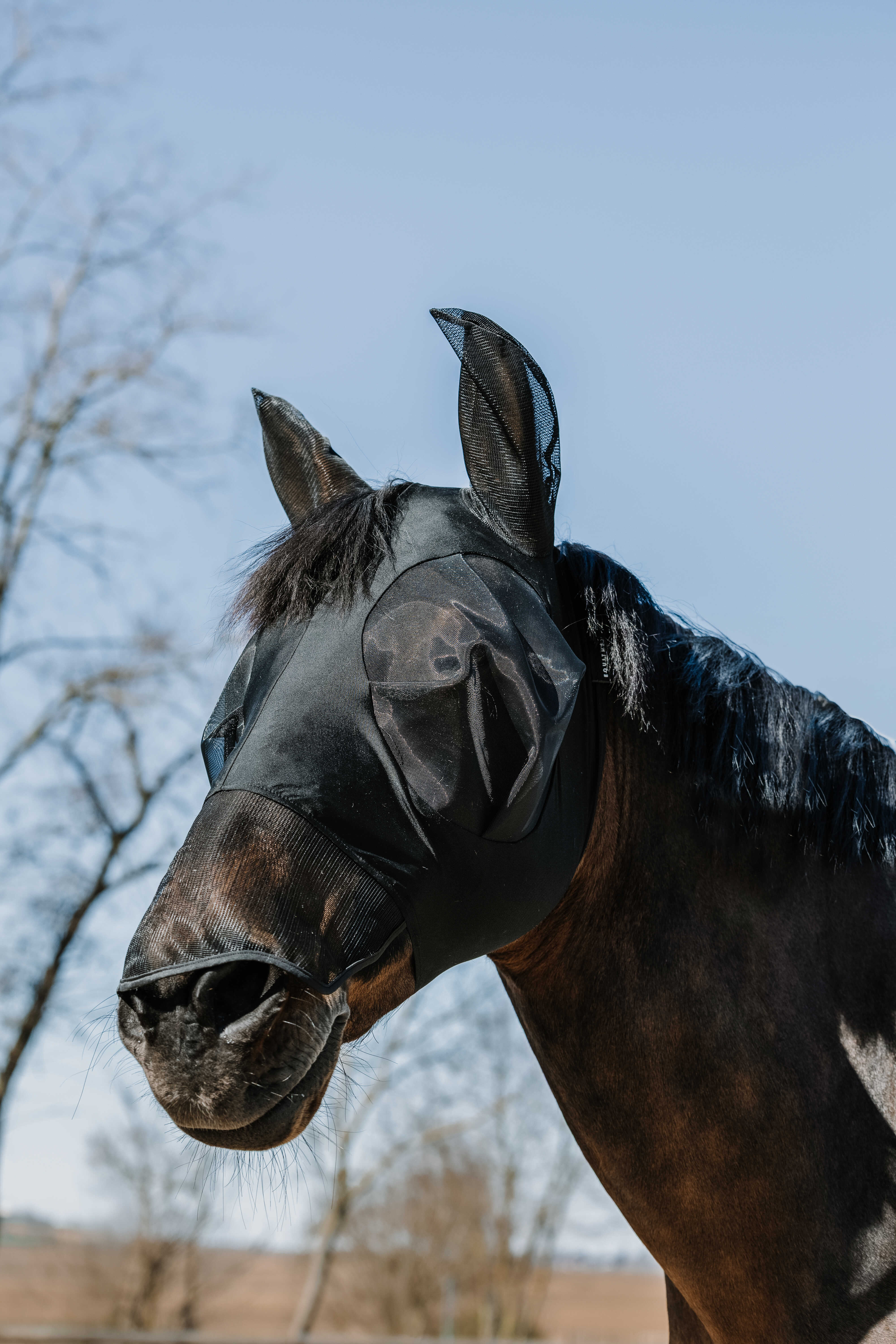 EQUITH ME - Lycra - Fly mask/uv mask   nose