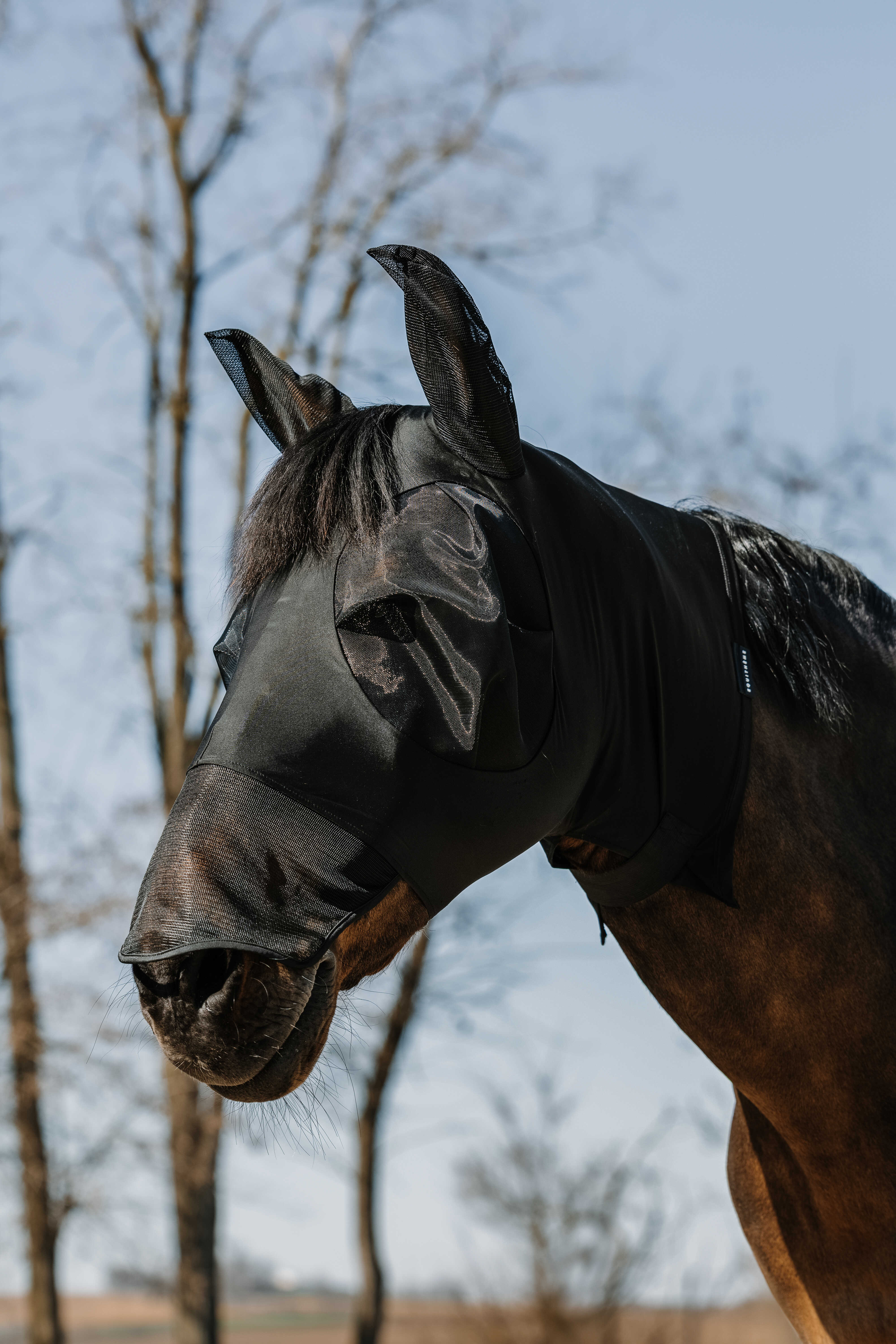 EQUITH ME - Hood - Fly mask/uv mask