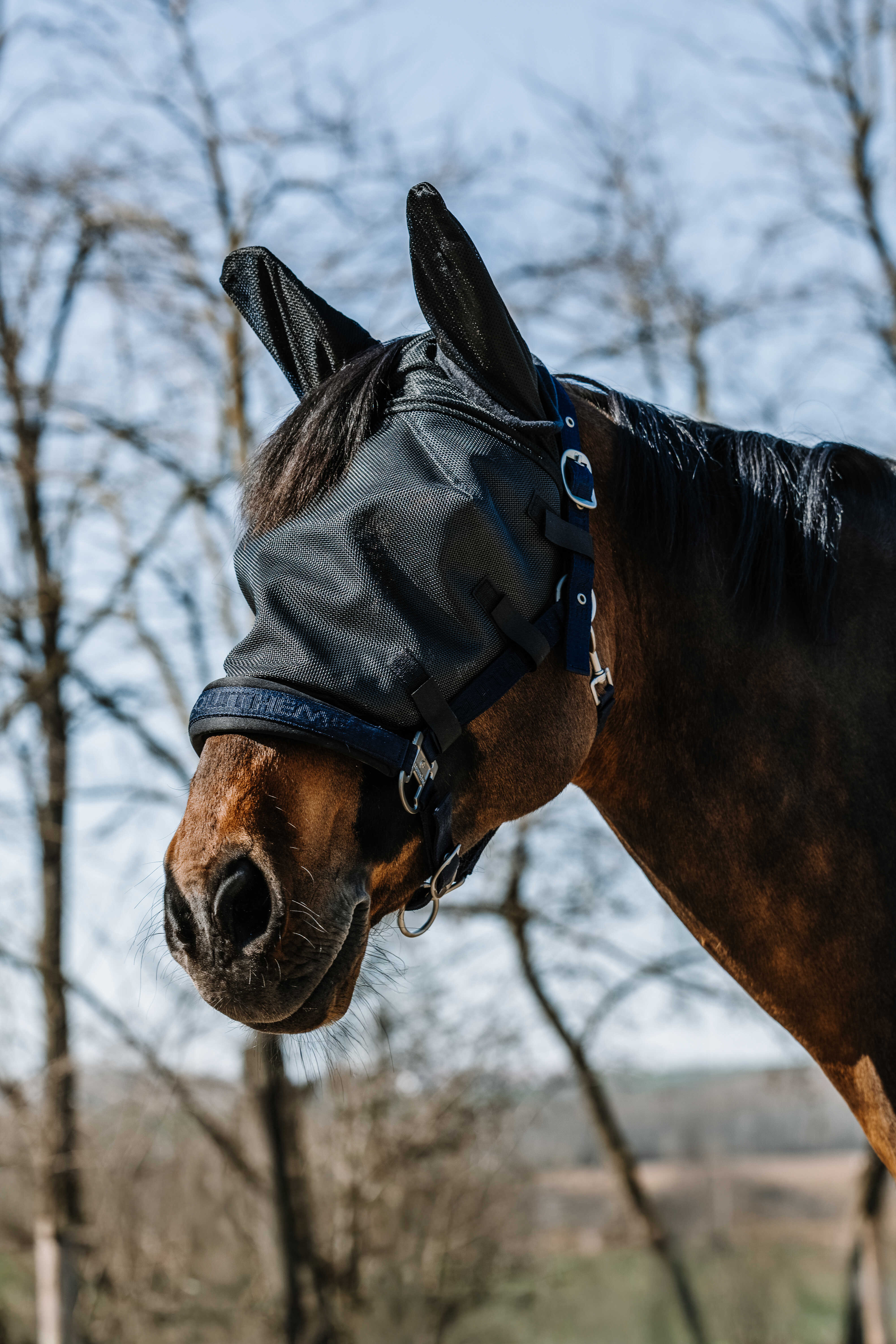 EQUITH ME - Halter - Fly mask/uv mask