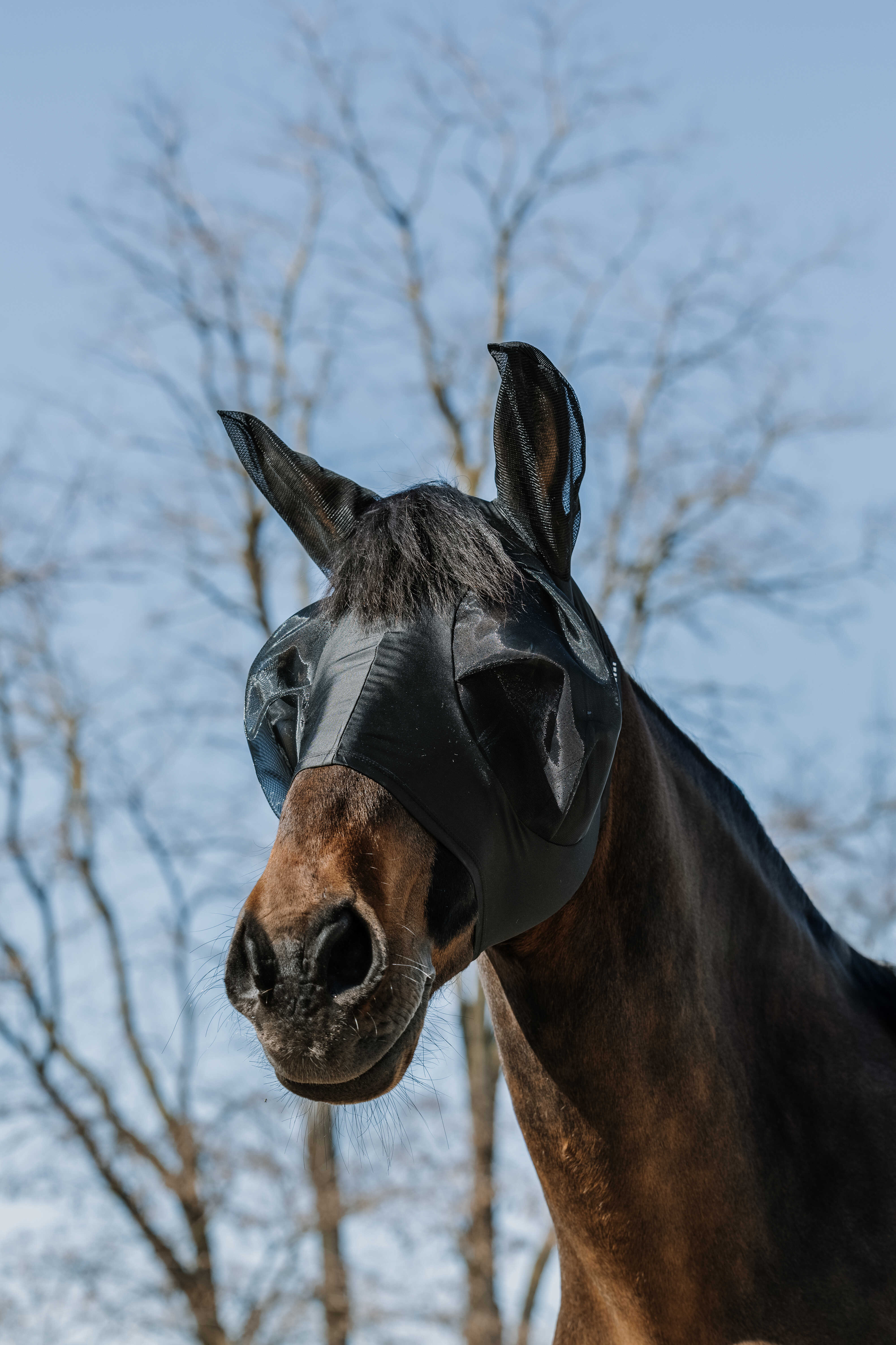 EQUITH ME - Lycra - Anti-fly/uv mask