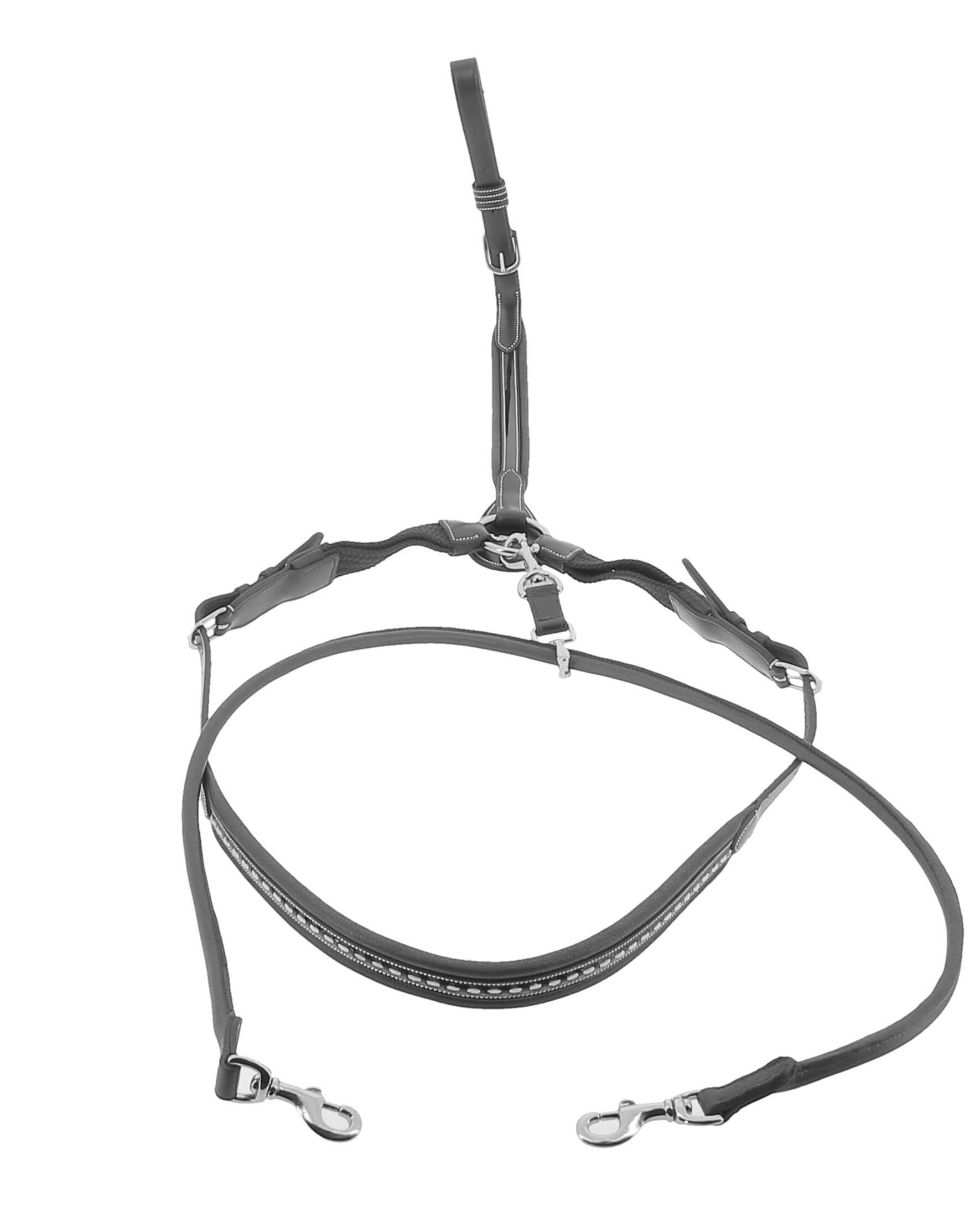 PENELOPE Martin Collar
