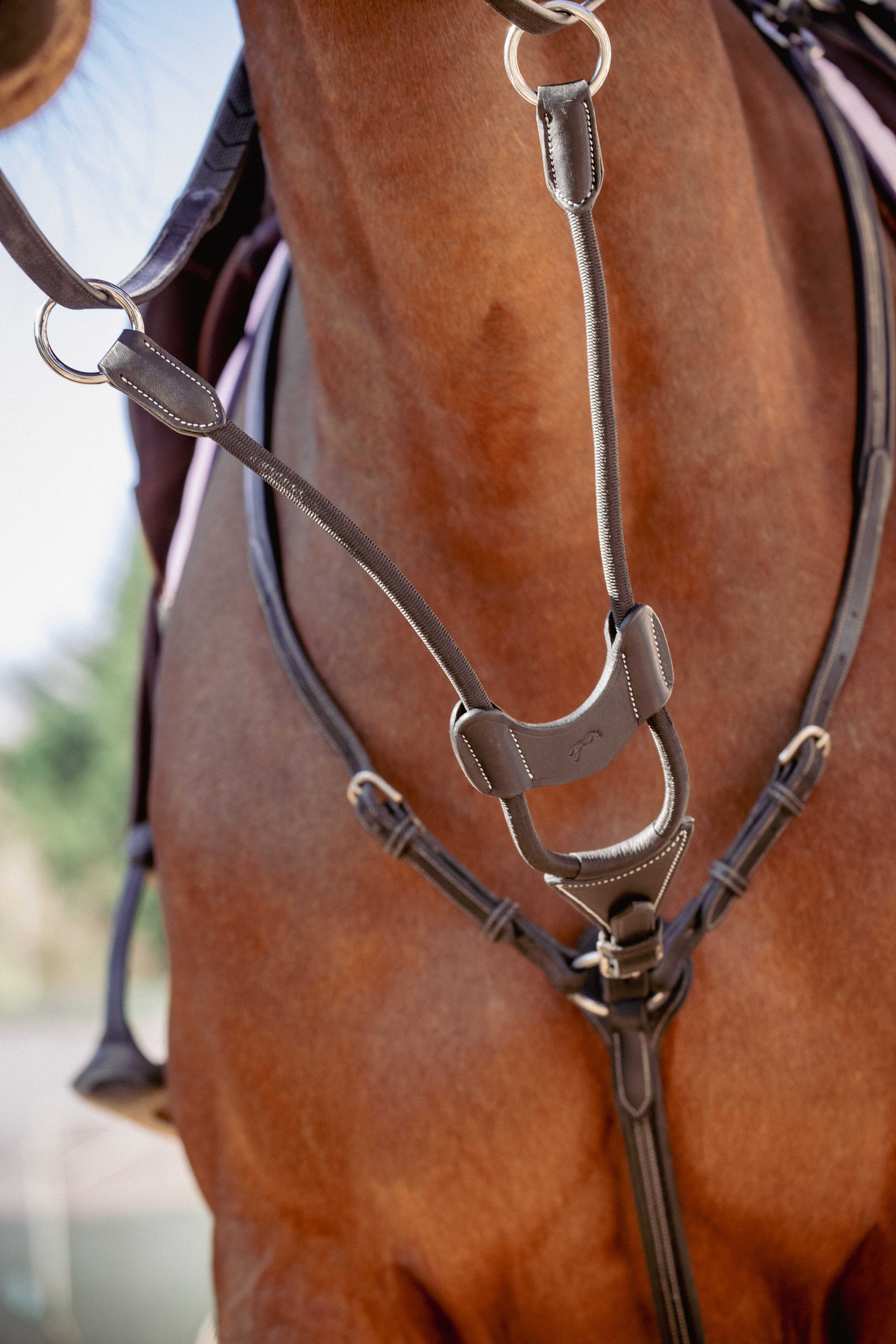 PENELOPE Bip light US martingale fork, elastic