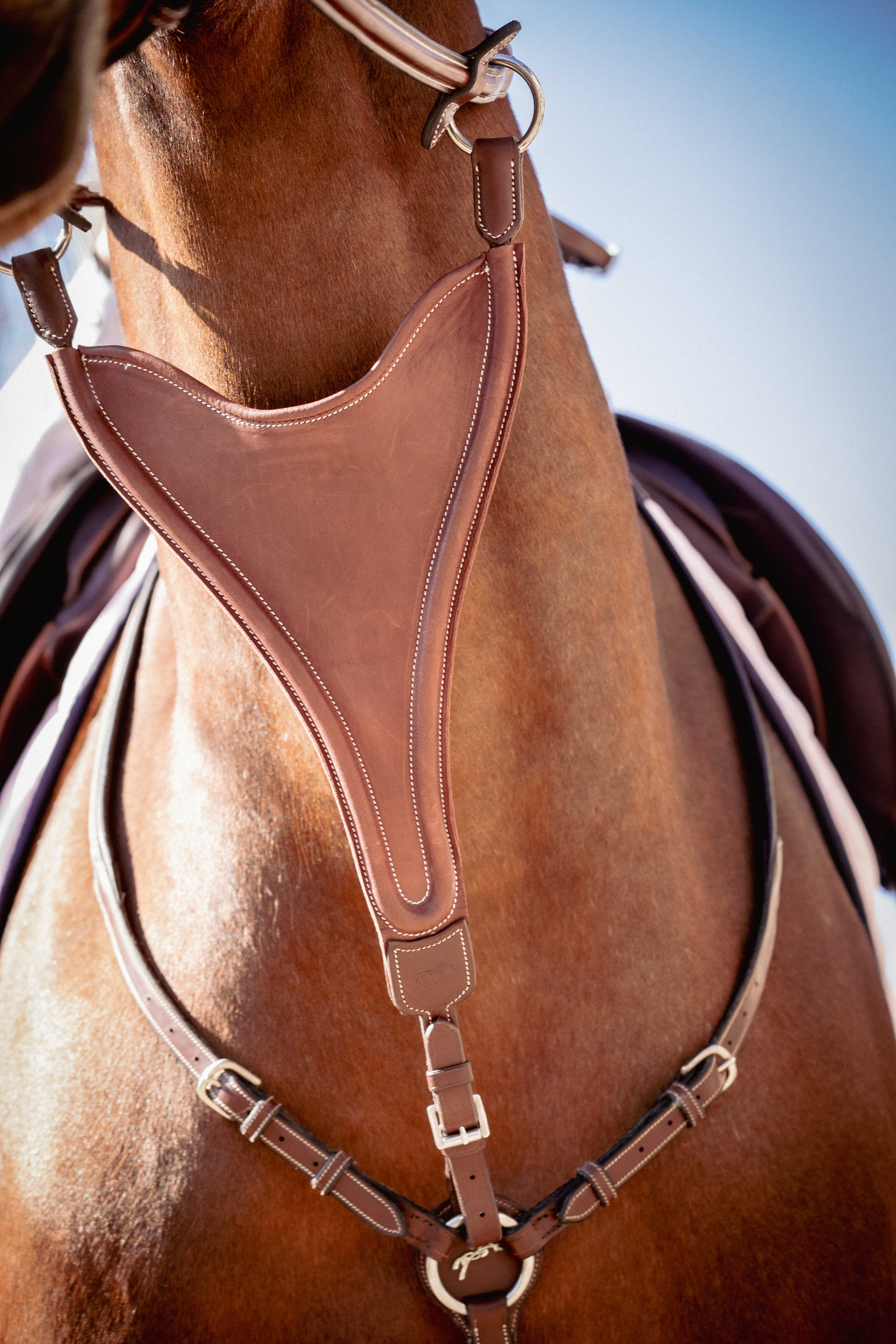PENELOPE Bip flap martingale fork, elastic