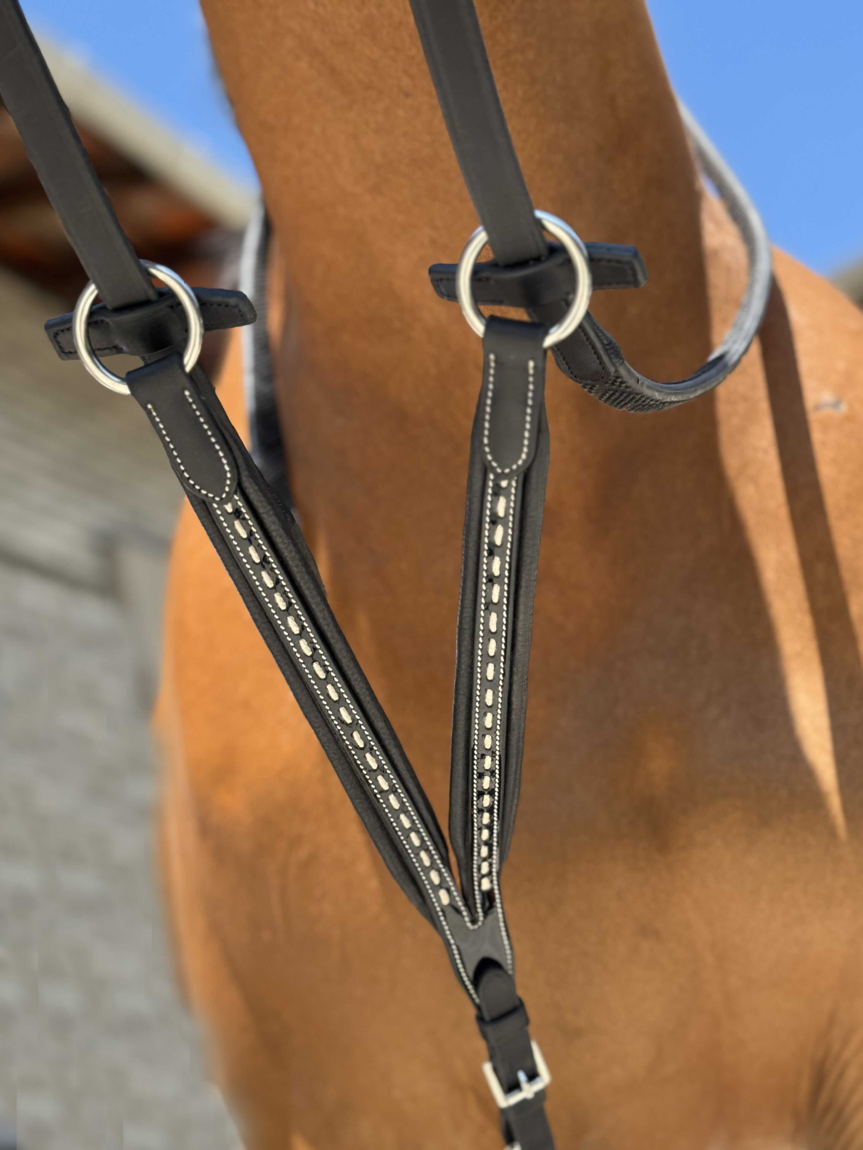 PENELOPE - Point sellier - Martingale fork