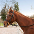 NORTON Elastic Training Reins
