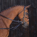RIDING WORLD Rubber side reins