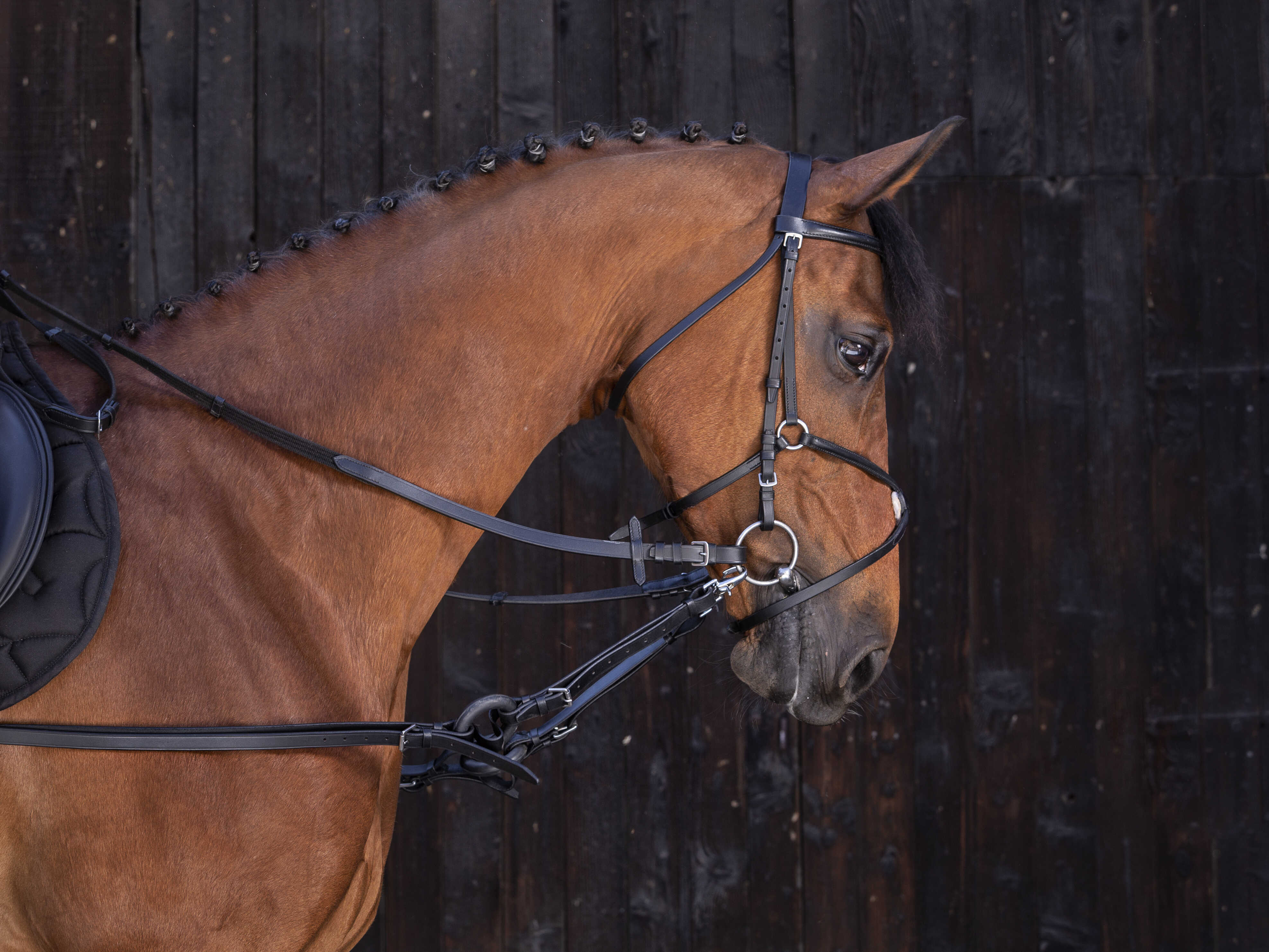 RIDING WORLD Rubber side reins
