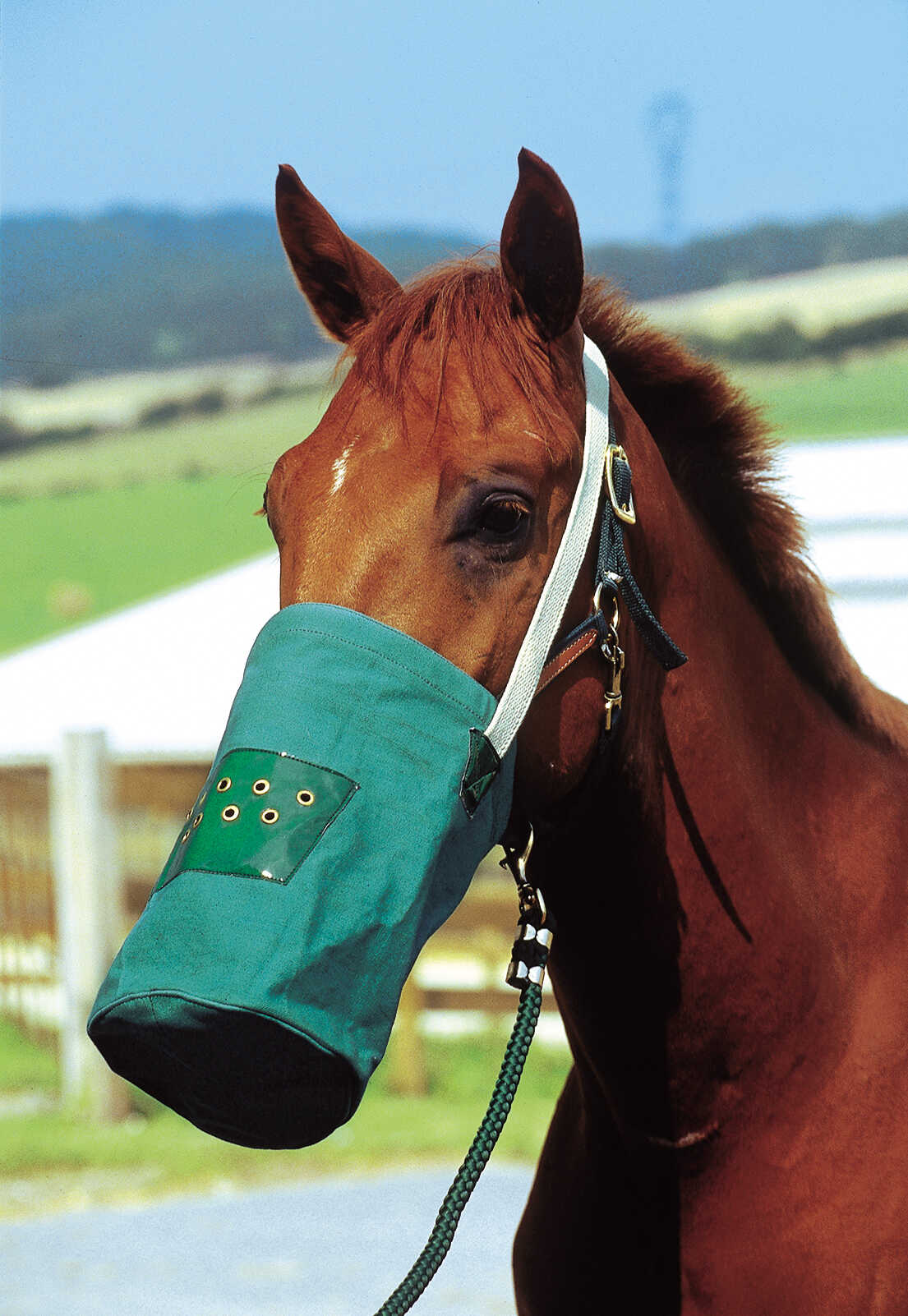 HIPPOTONIC Feed bag, canvas
